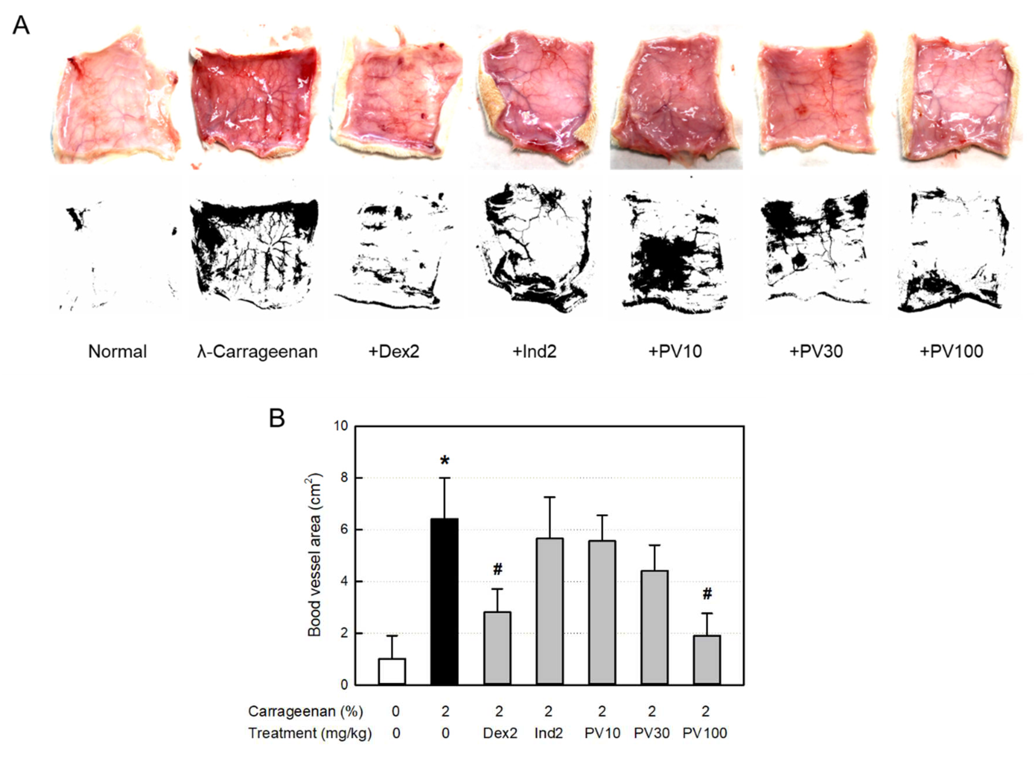 Preprints 72937 g006