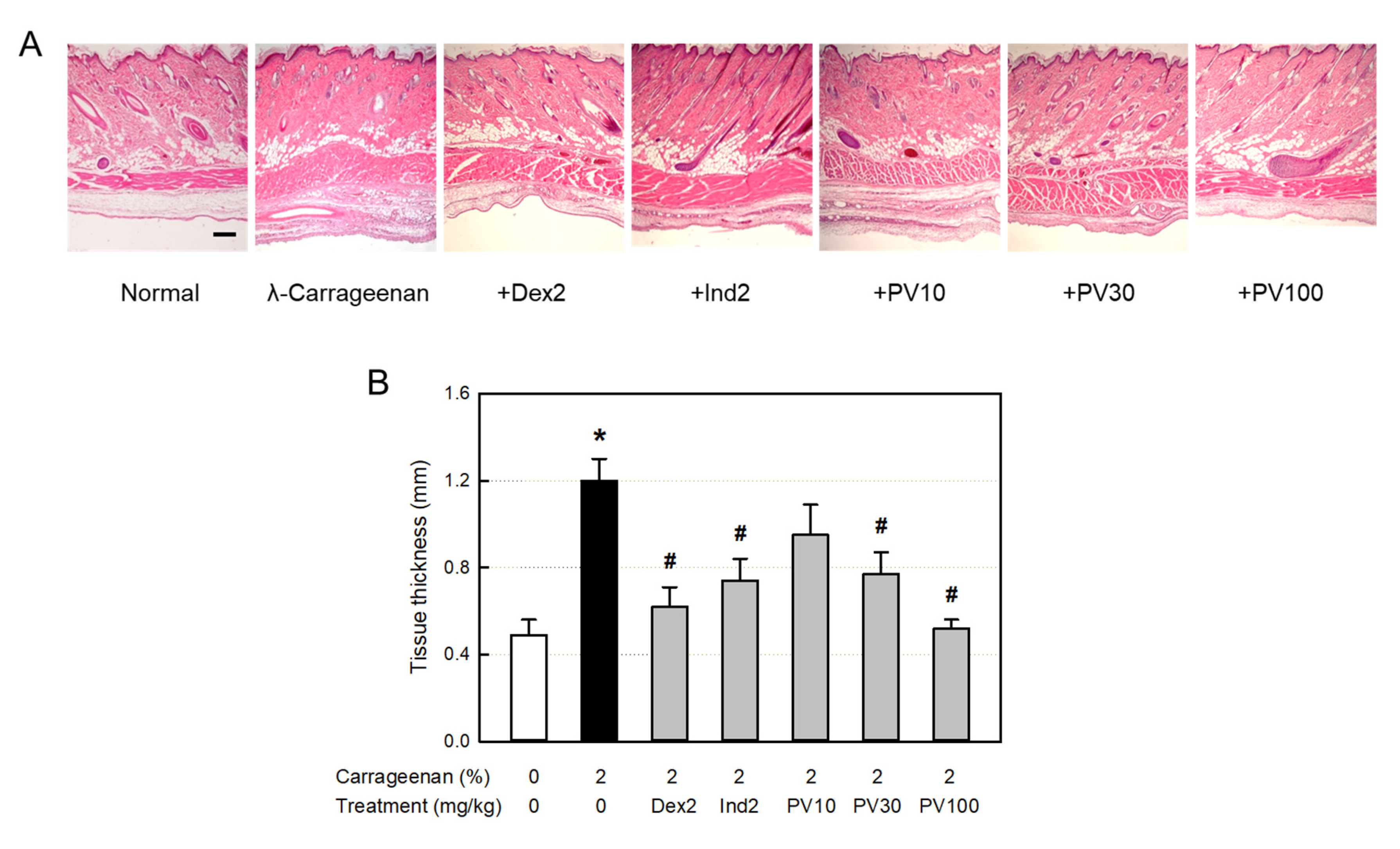 Preprints 72937 g007