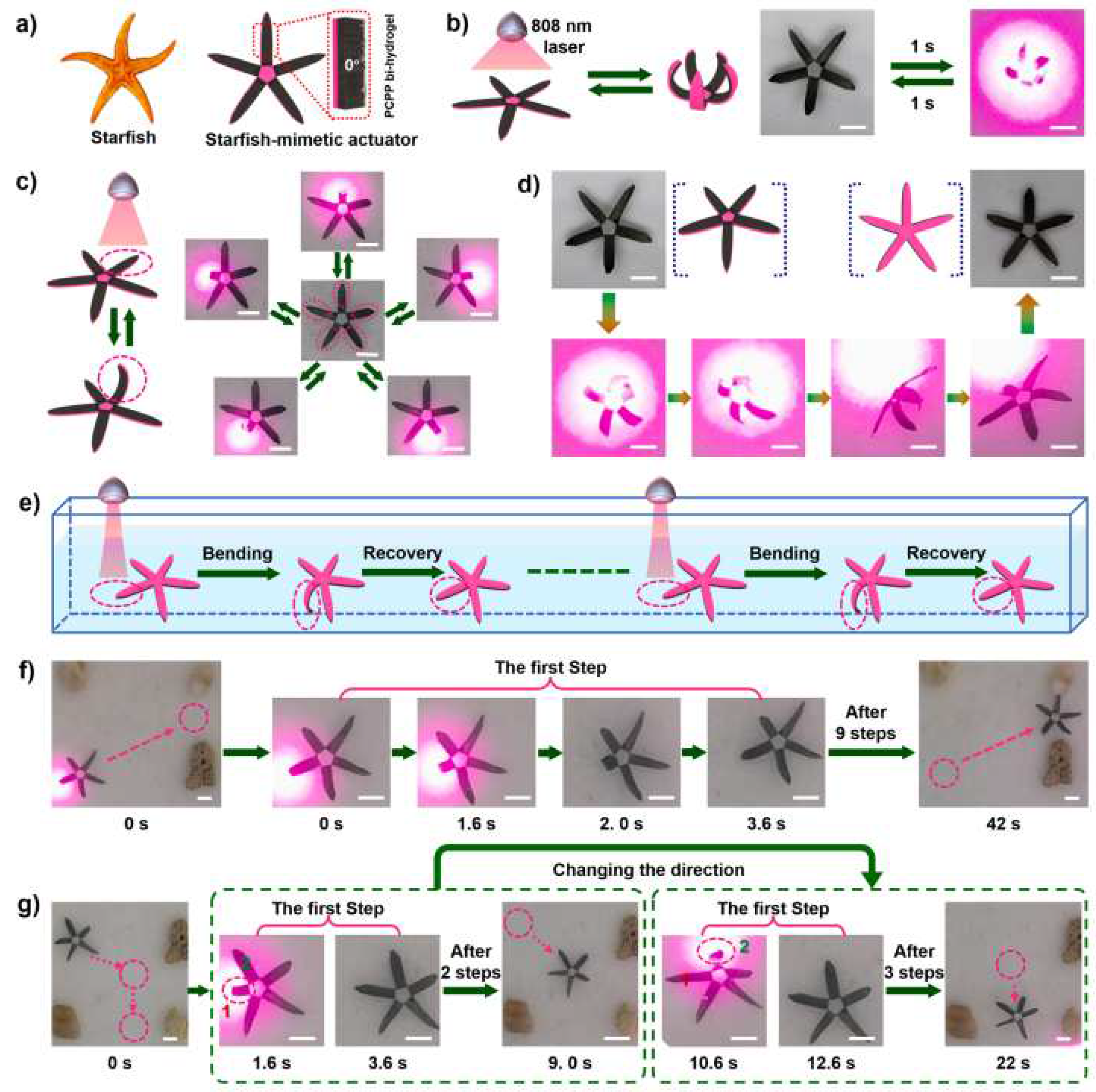 Preprints 83073 g004