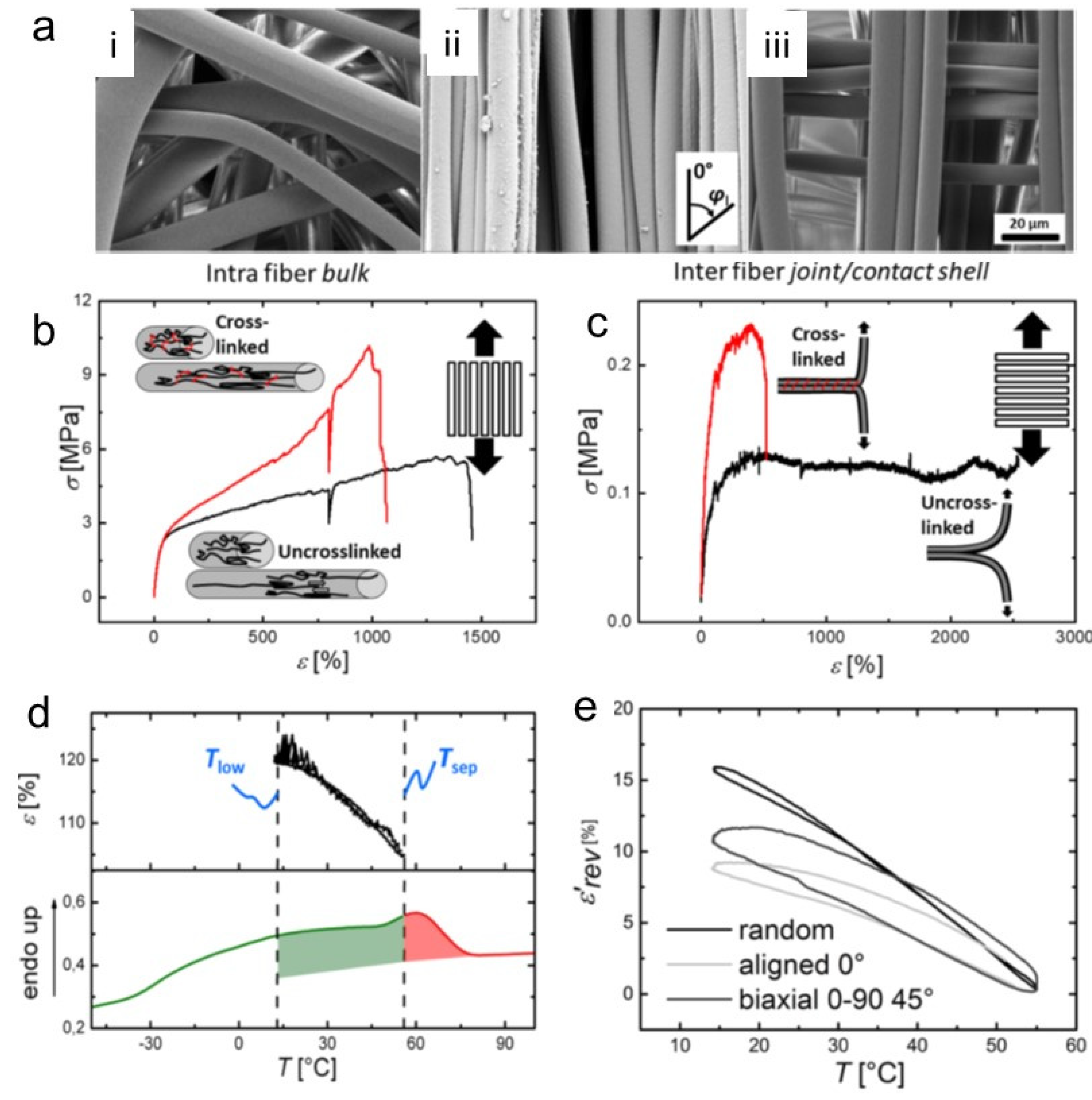 Preprints 83073 g006