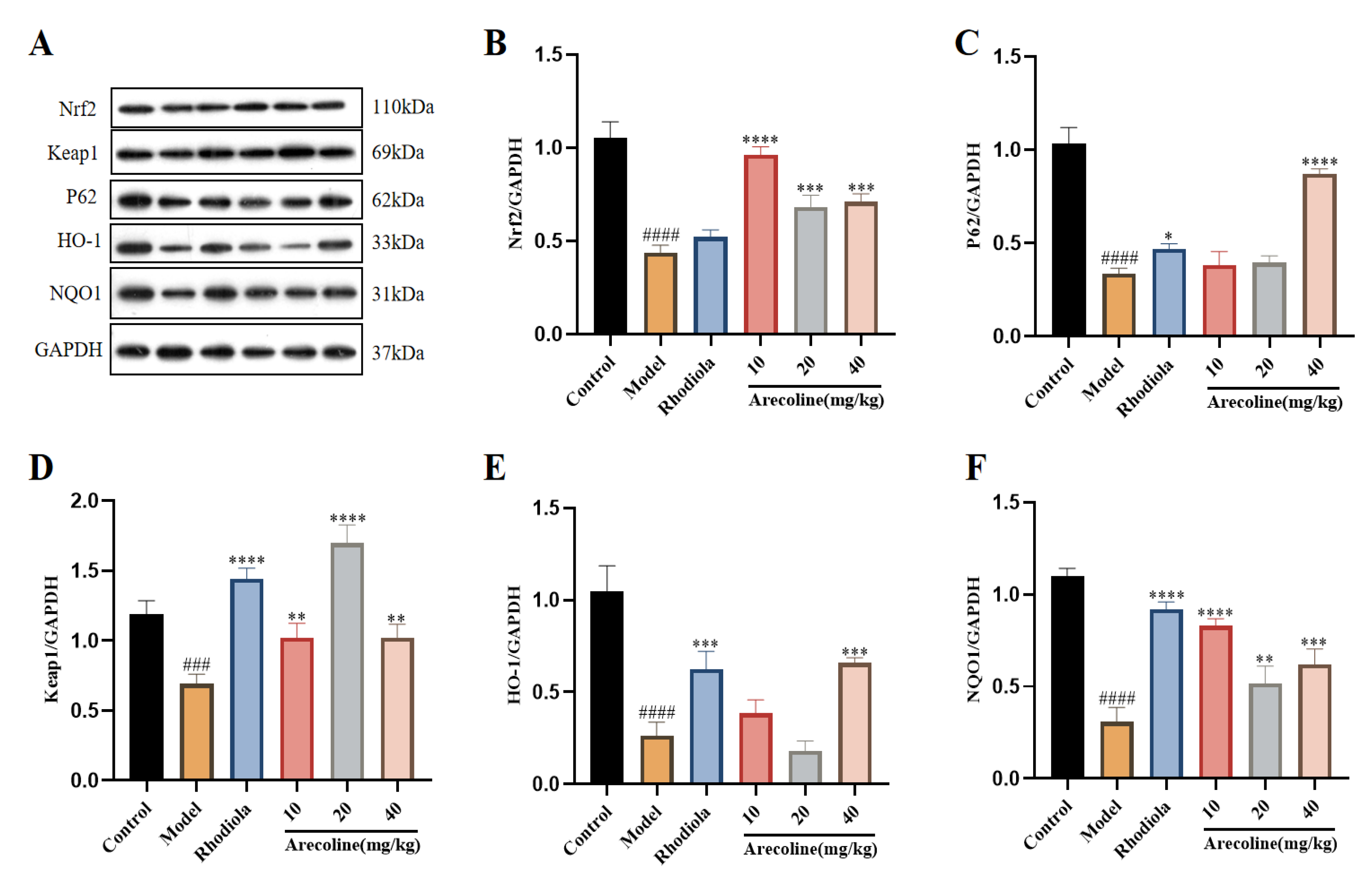 Preprints 109584 g008