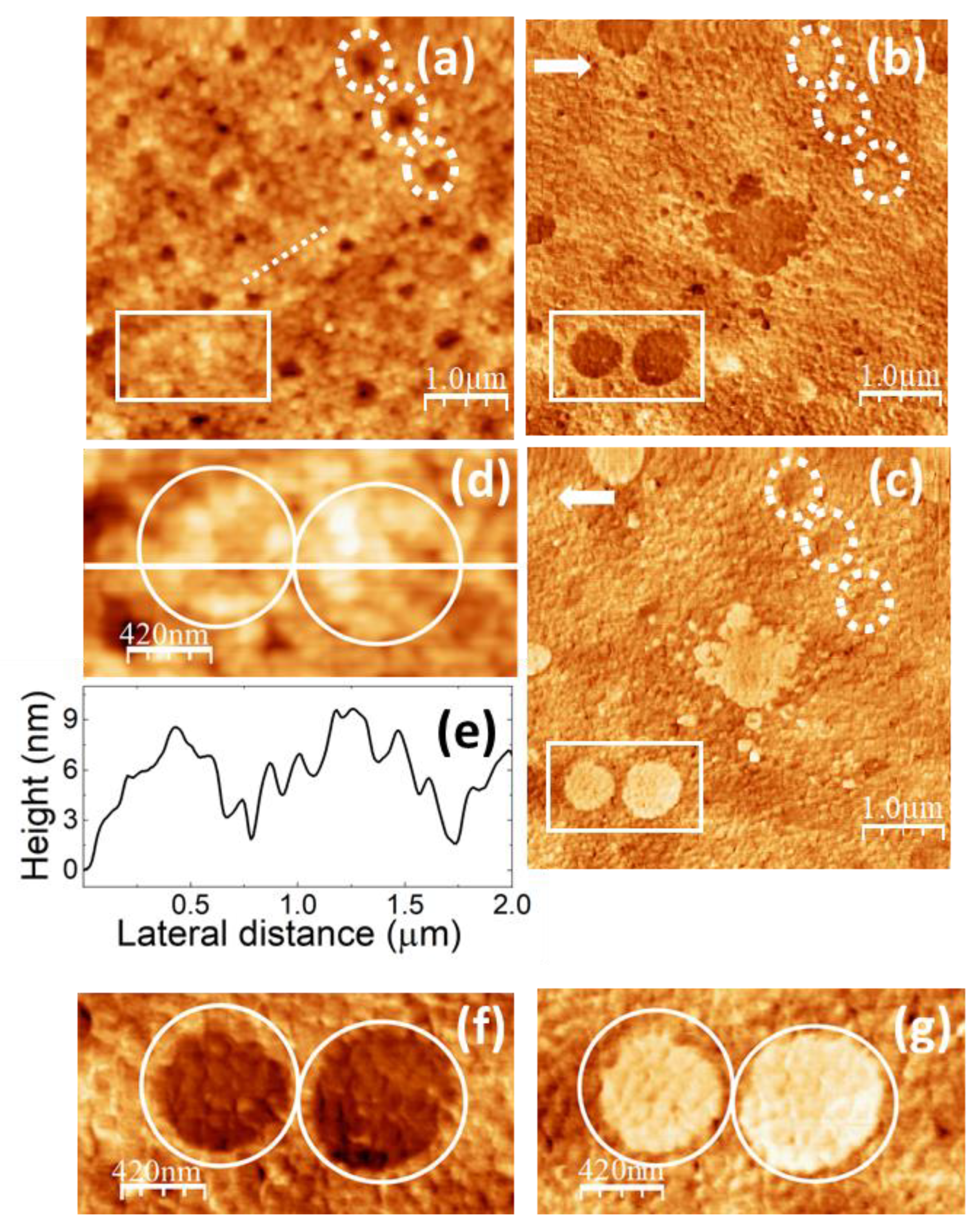 Preprints 108930 g008