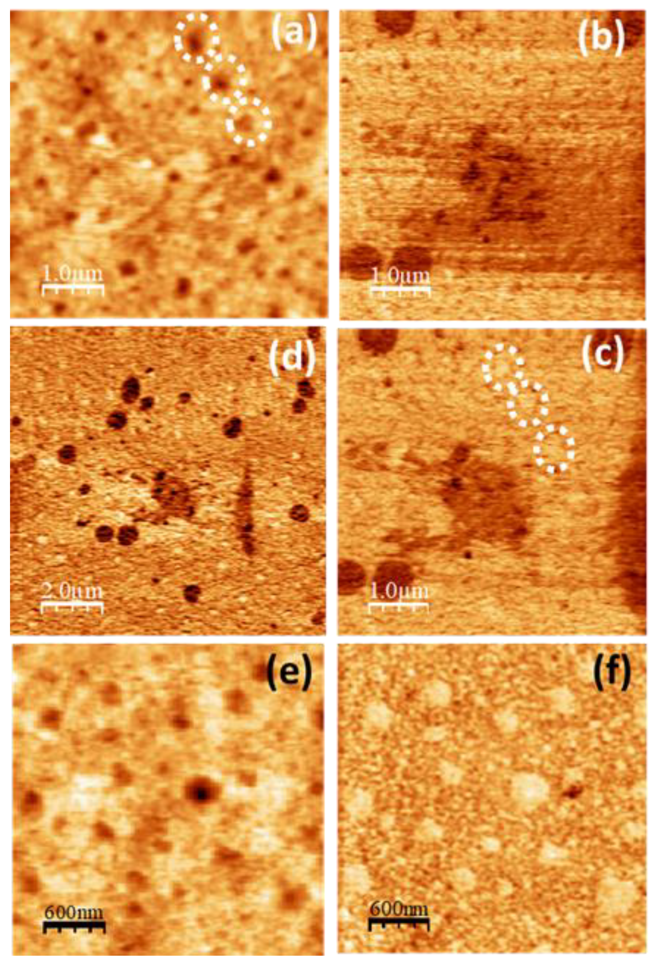 Preprints 108930 g009