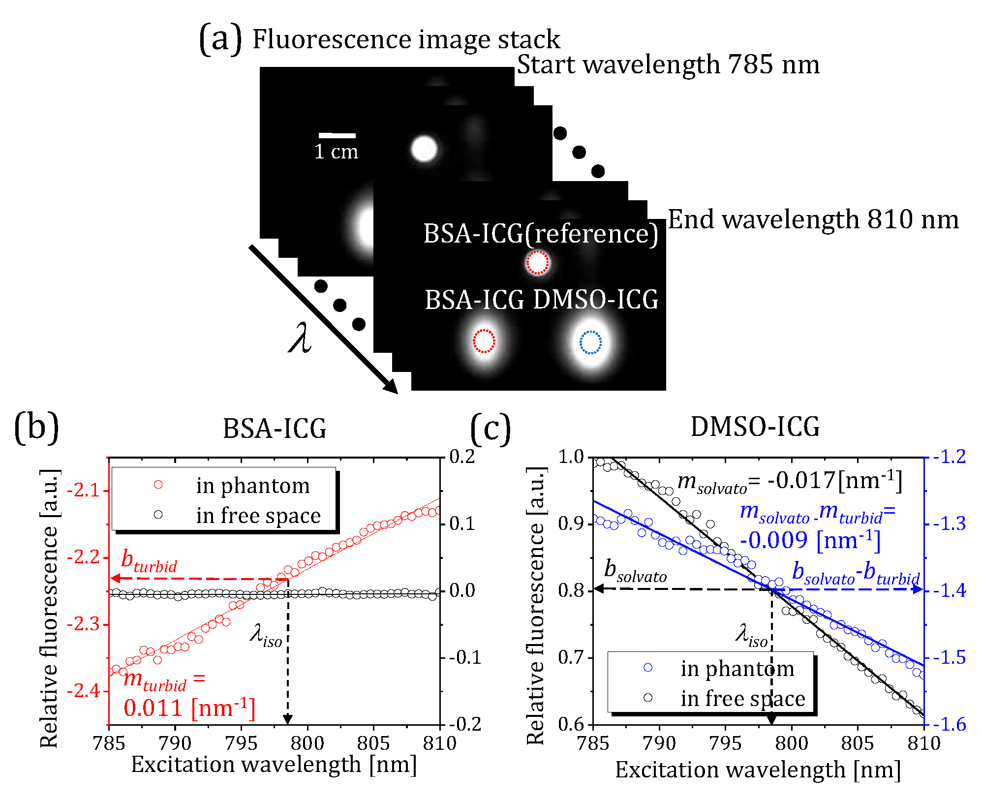 Preprints 84151 g004