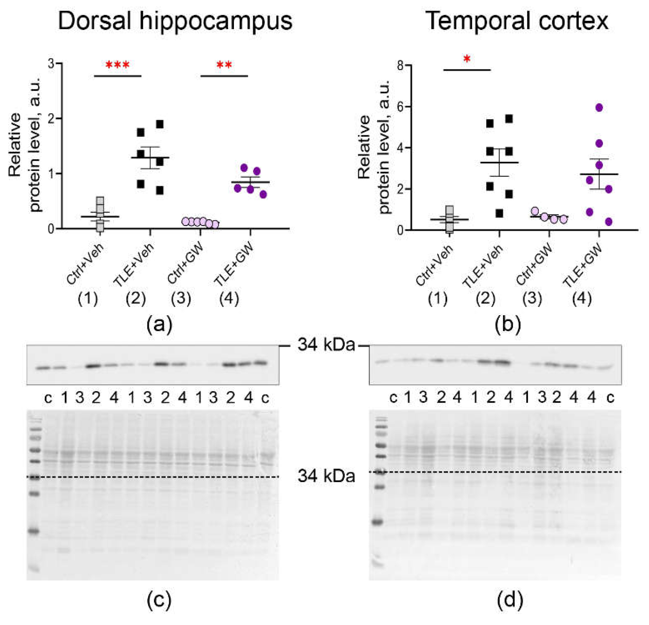 Preprints 115326 g003