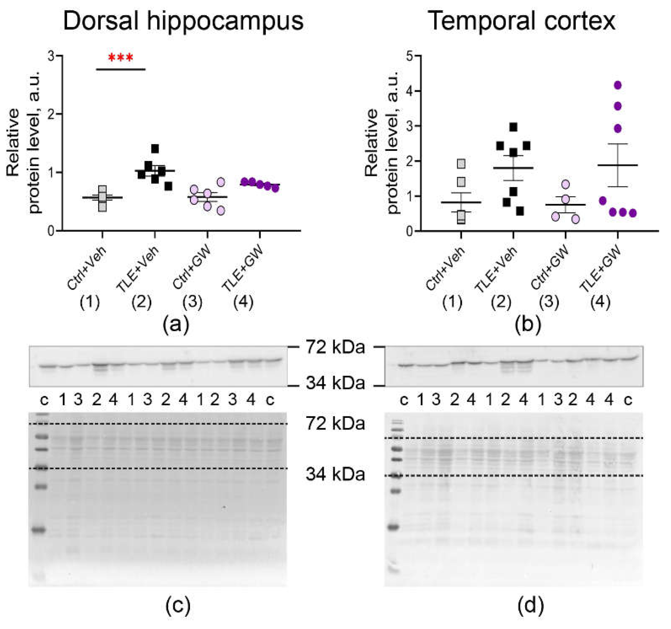 Preprints 115326 g004