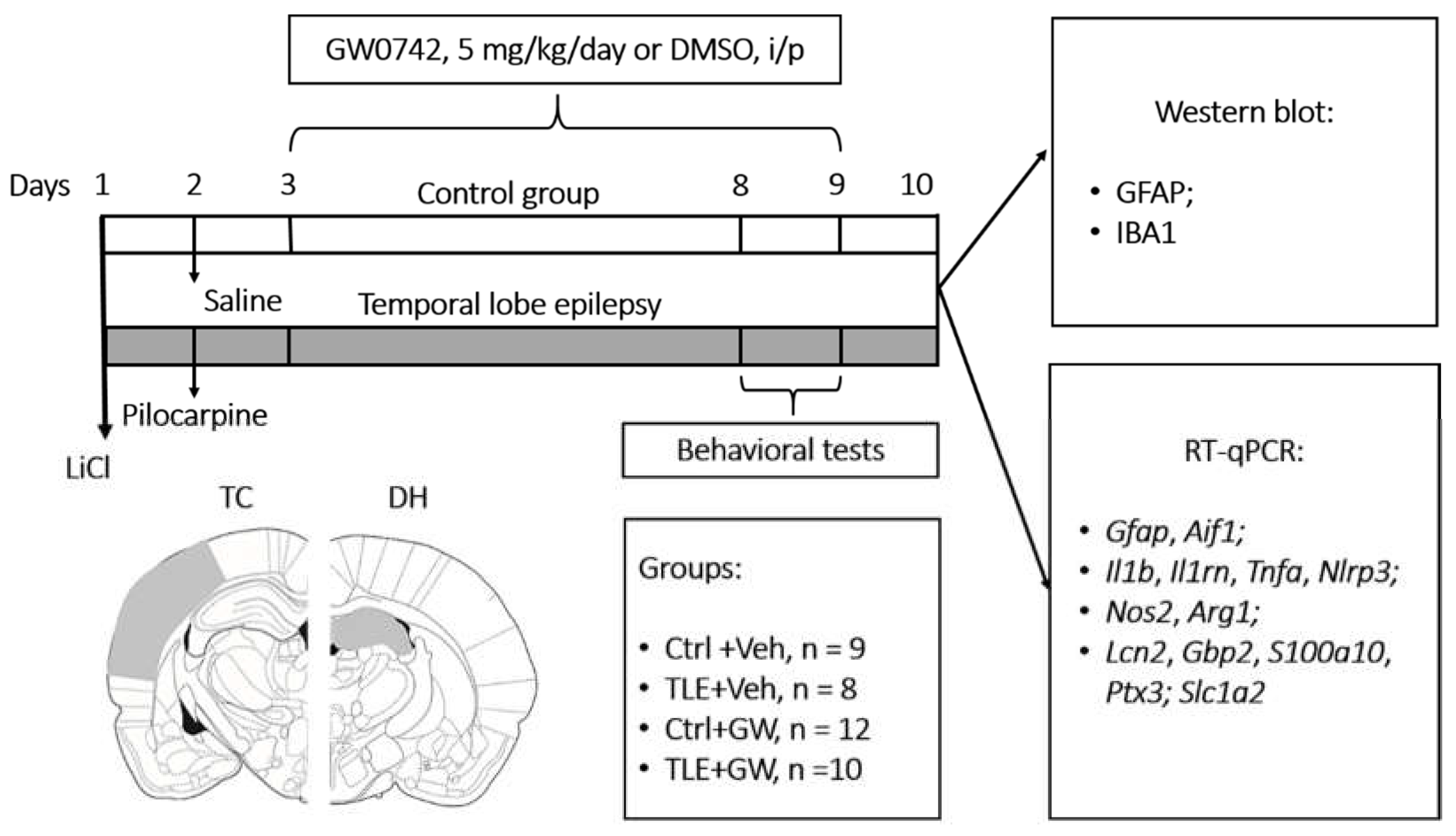 Preprints 115326 g009