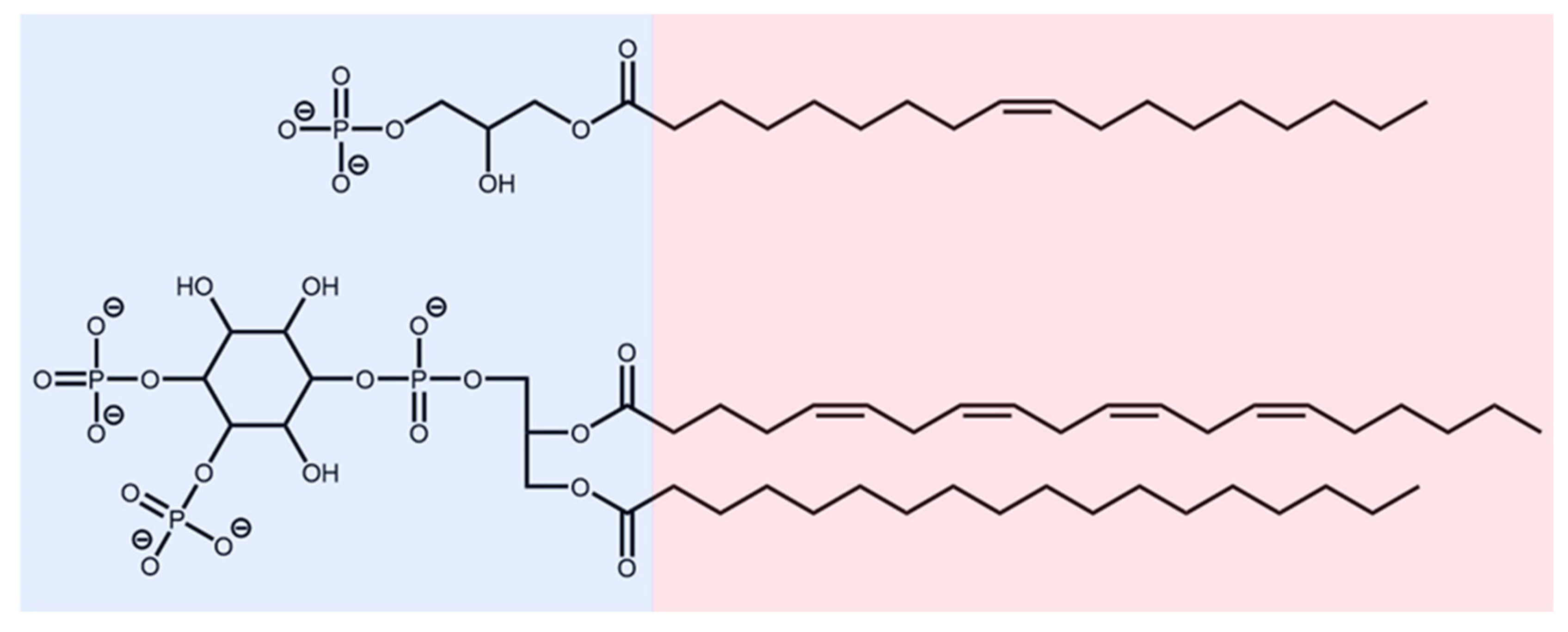 Preprints 81415 g001