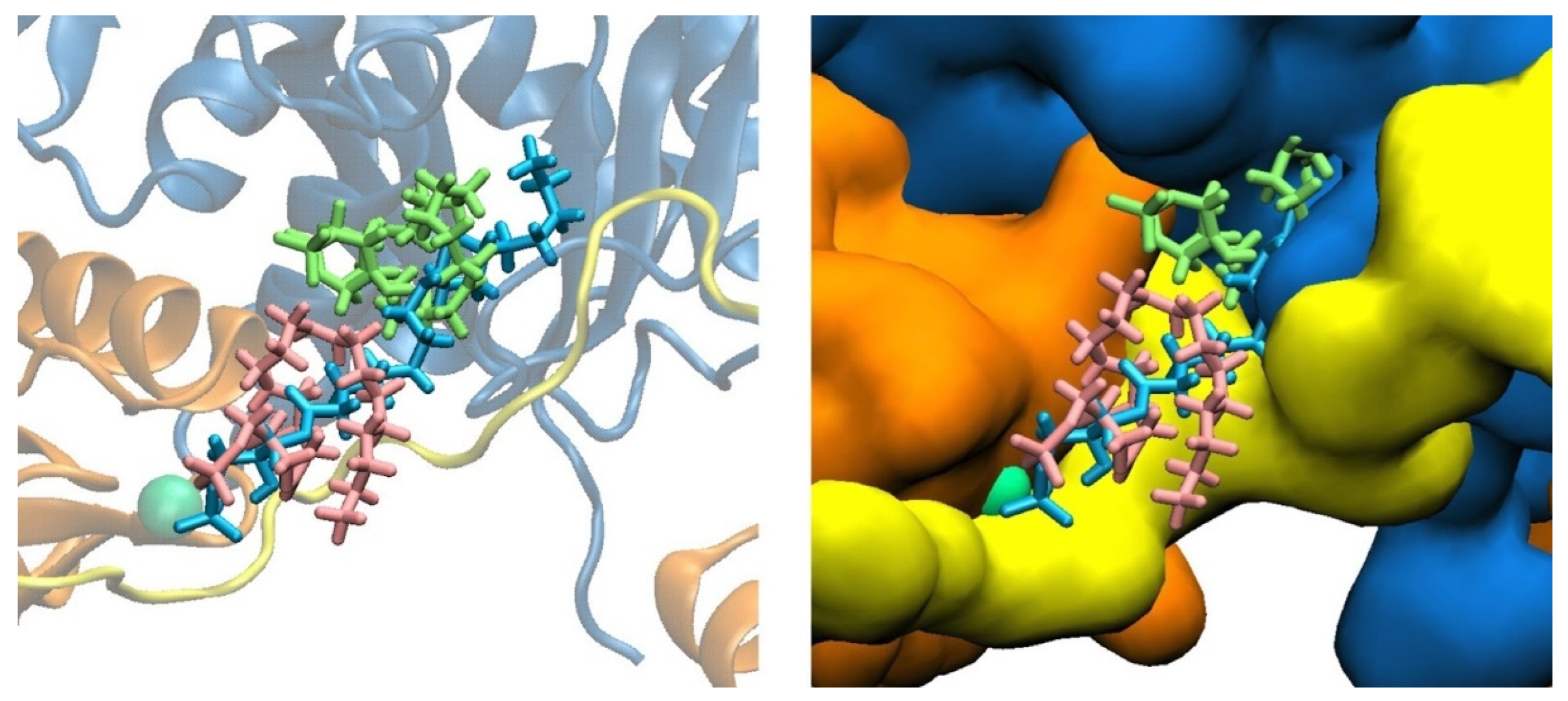 Preprints 81415 g003