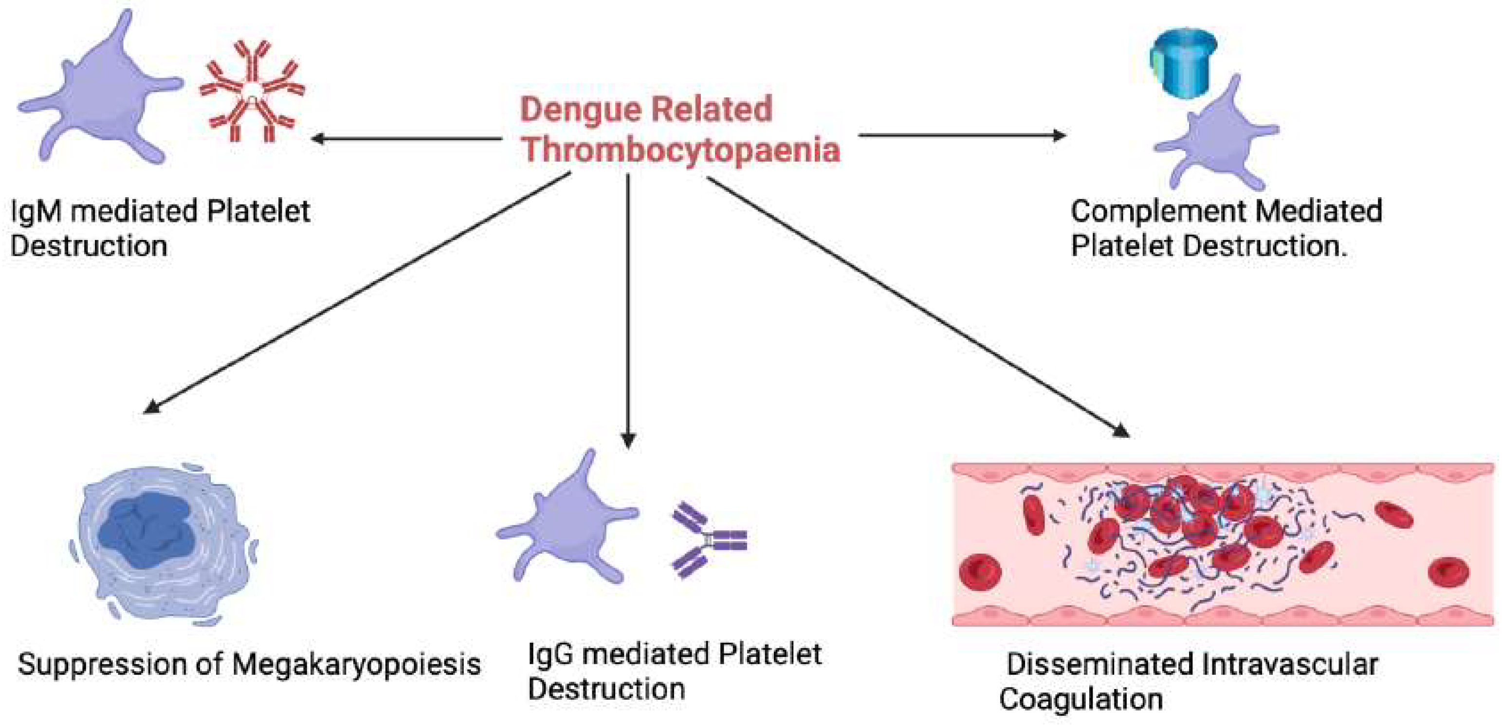 Preprints 106390 g002