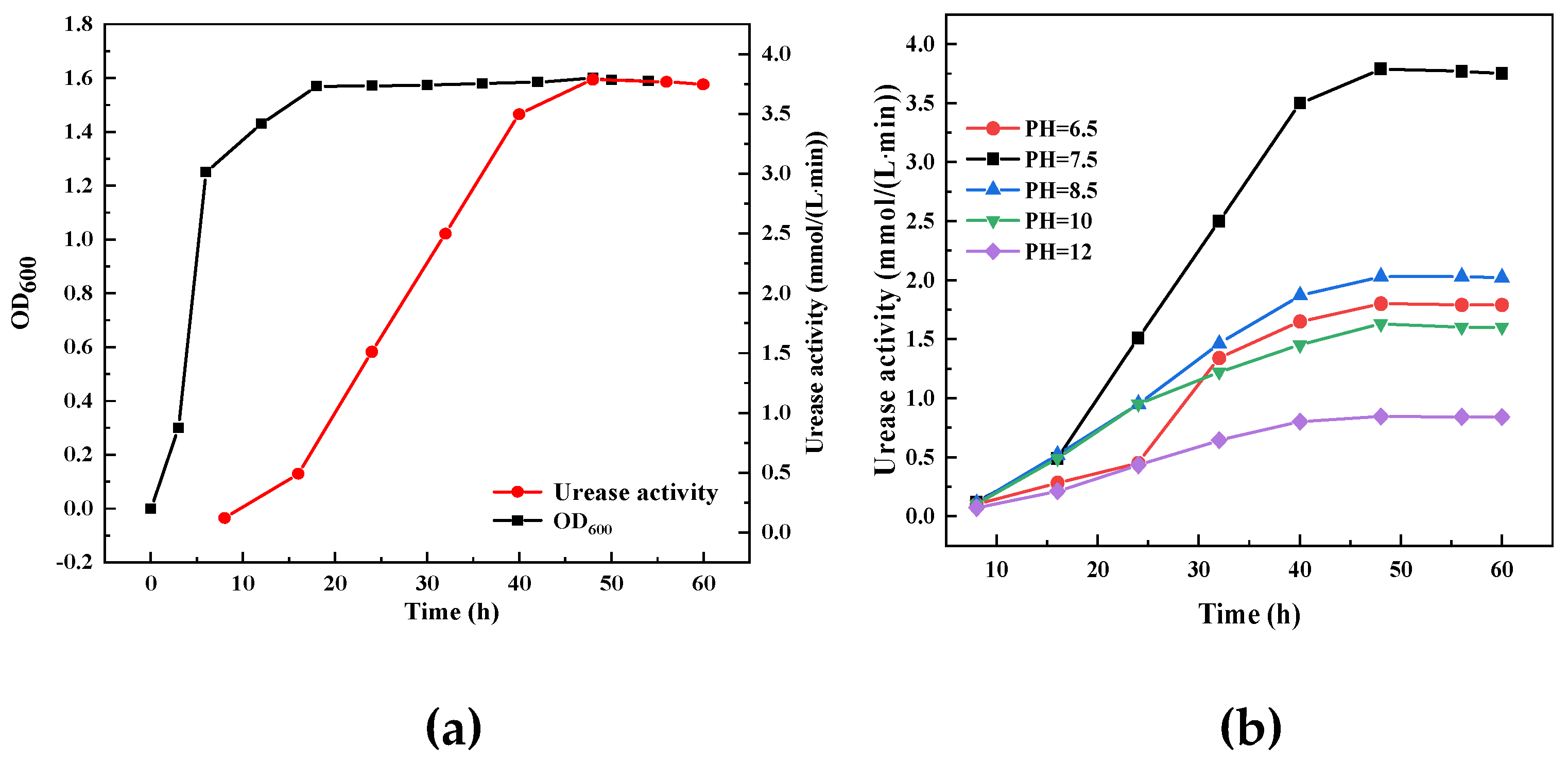 Preprints 88681 g001a