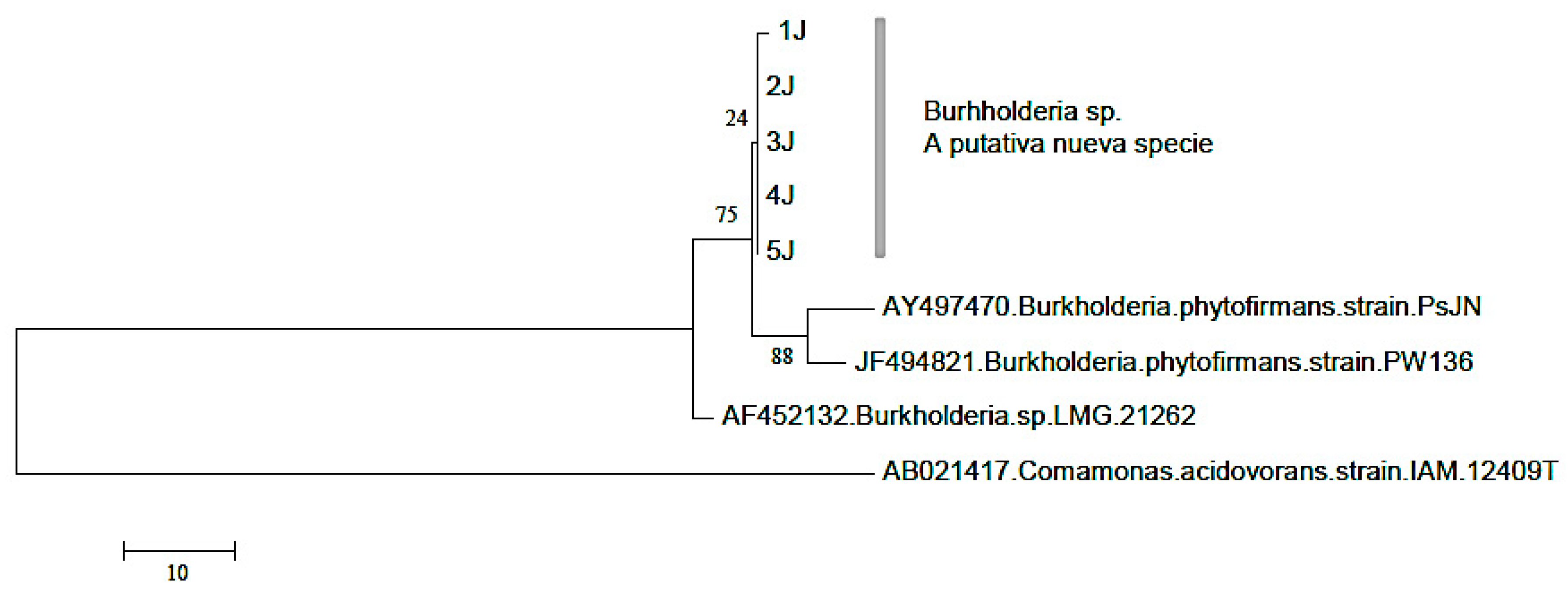 Preprints 82818 g002