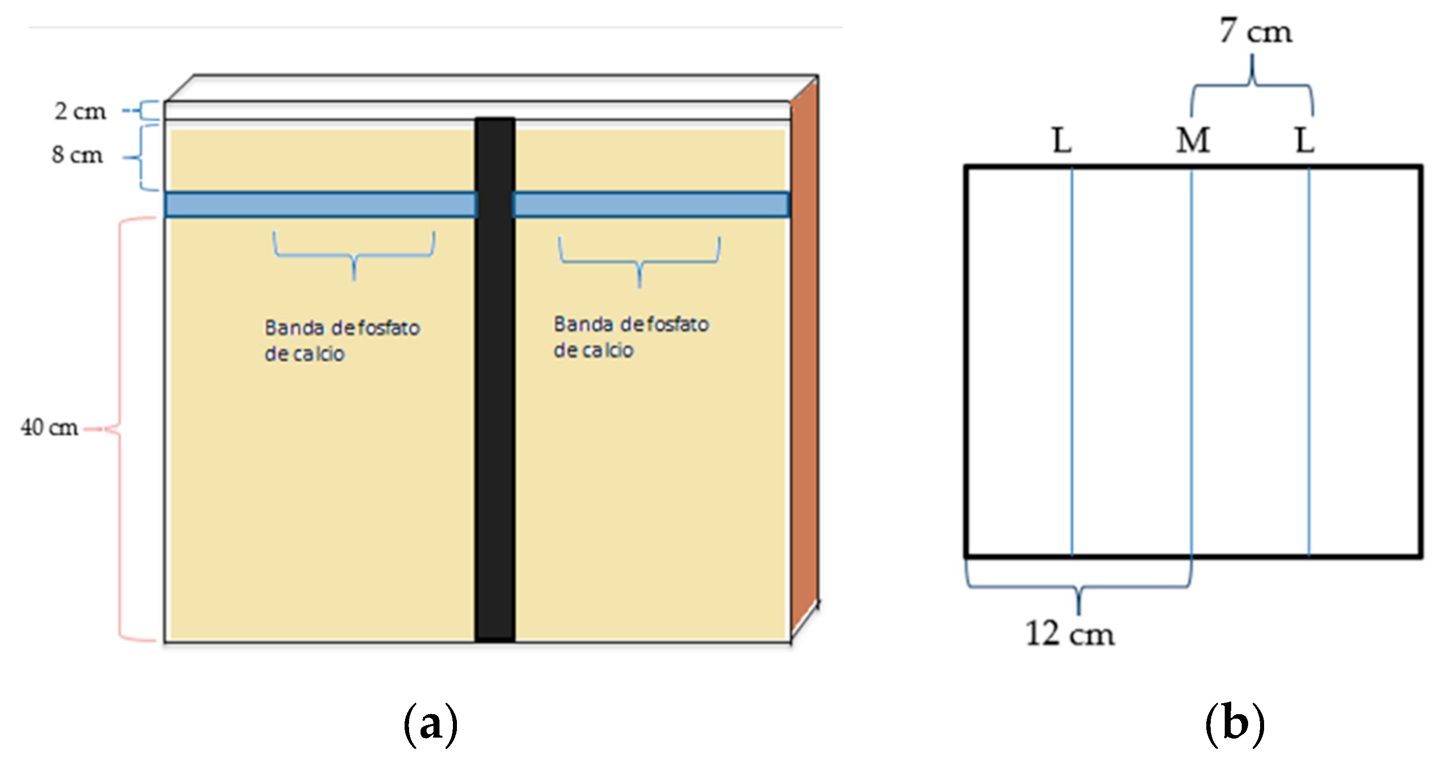 Preprints 82818 g003