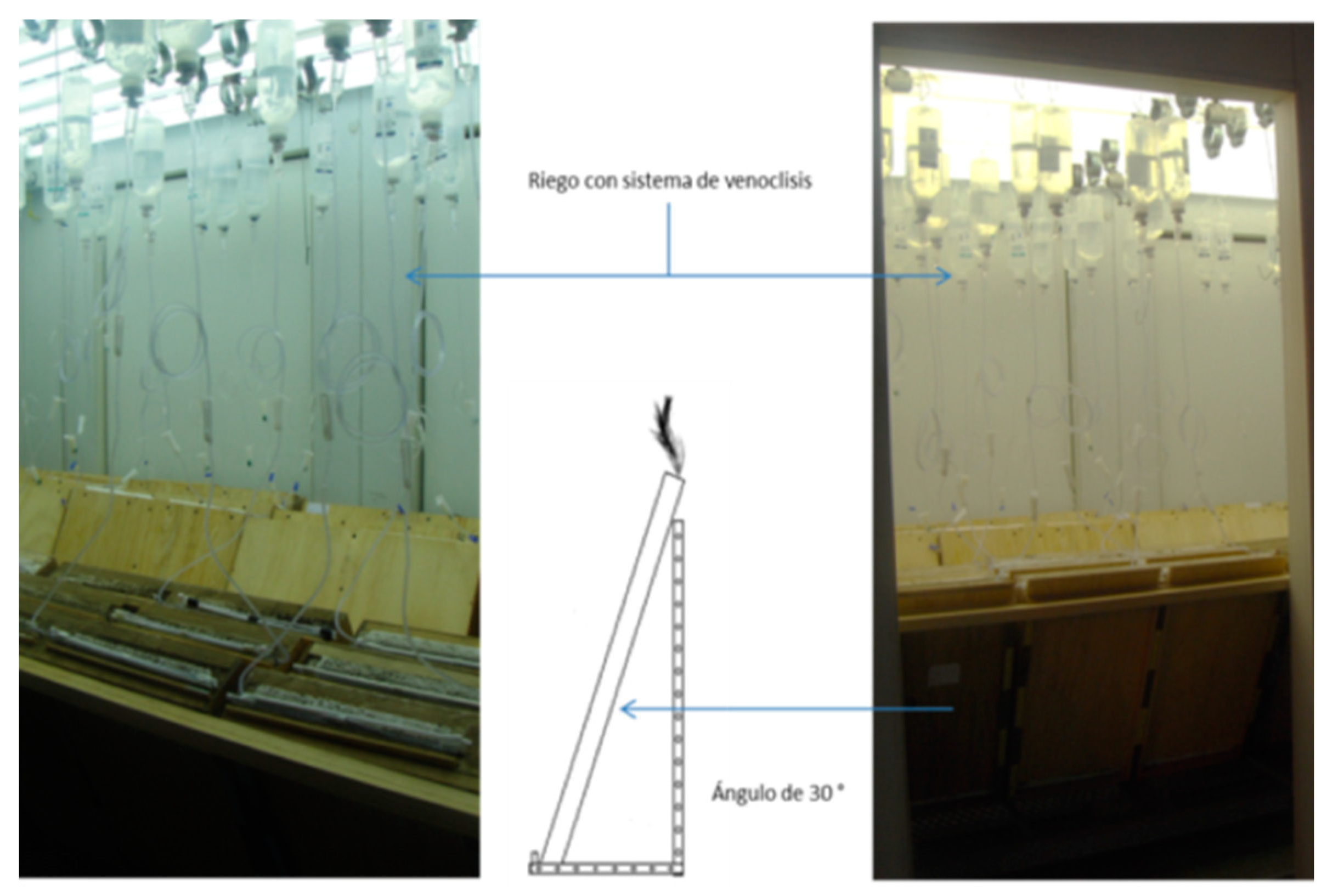 Preprints 82818 g004