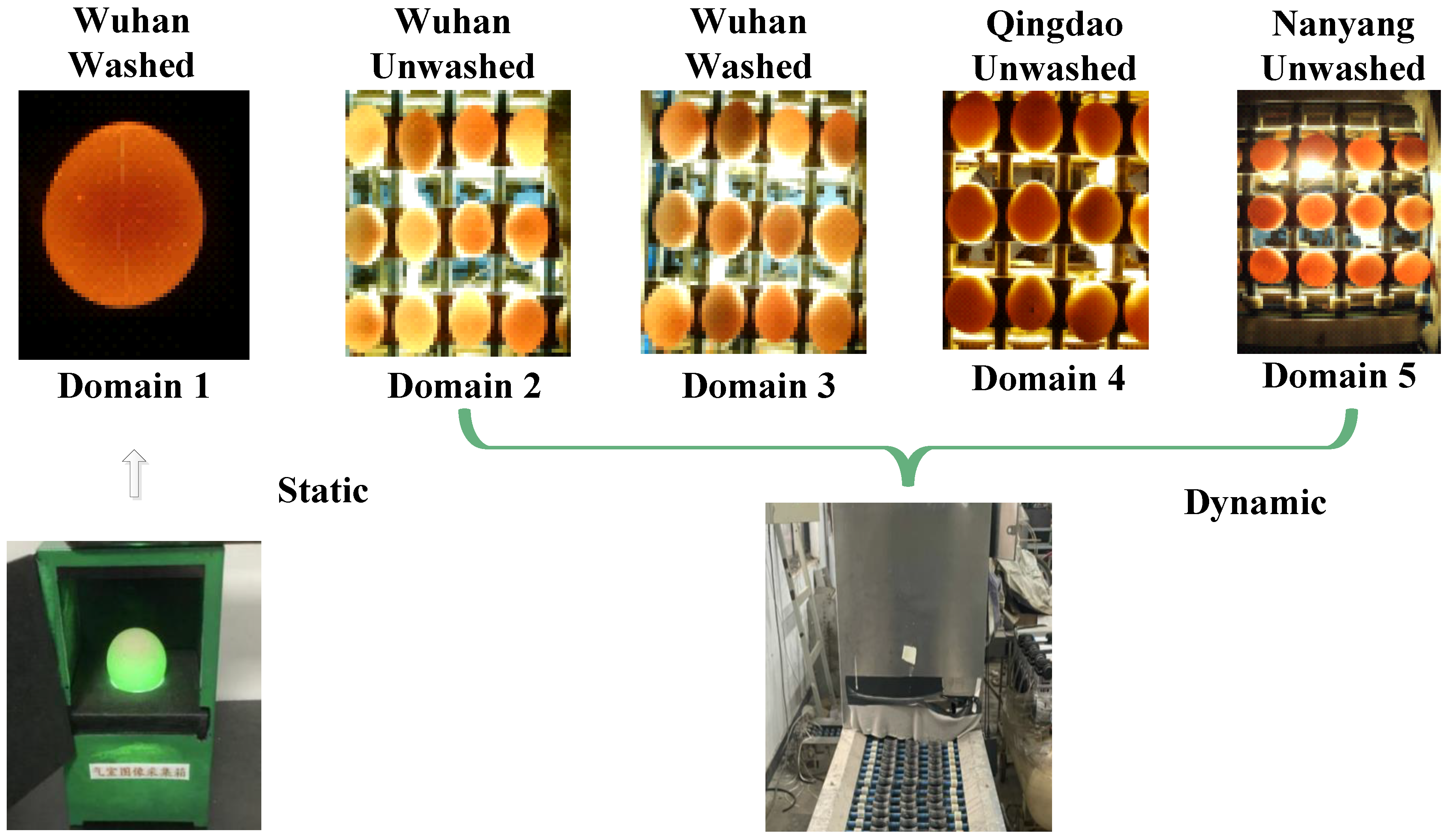 Preprints 109990 g004