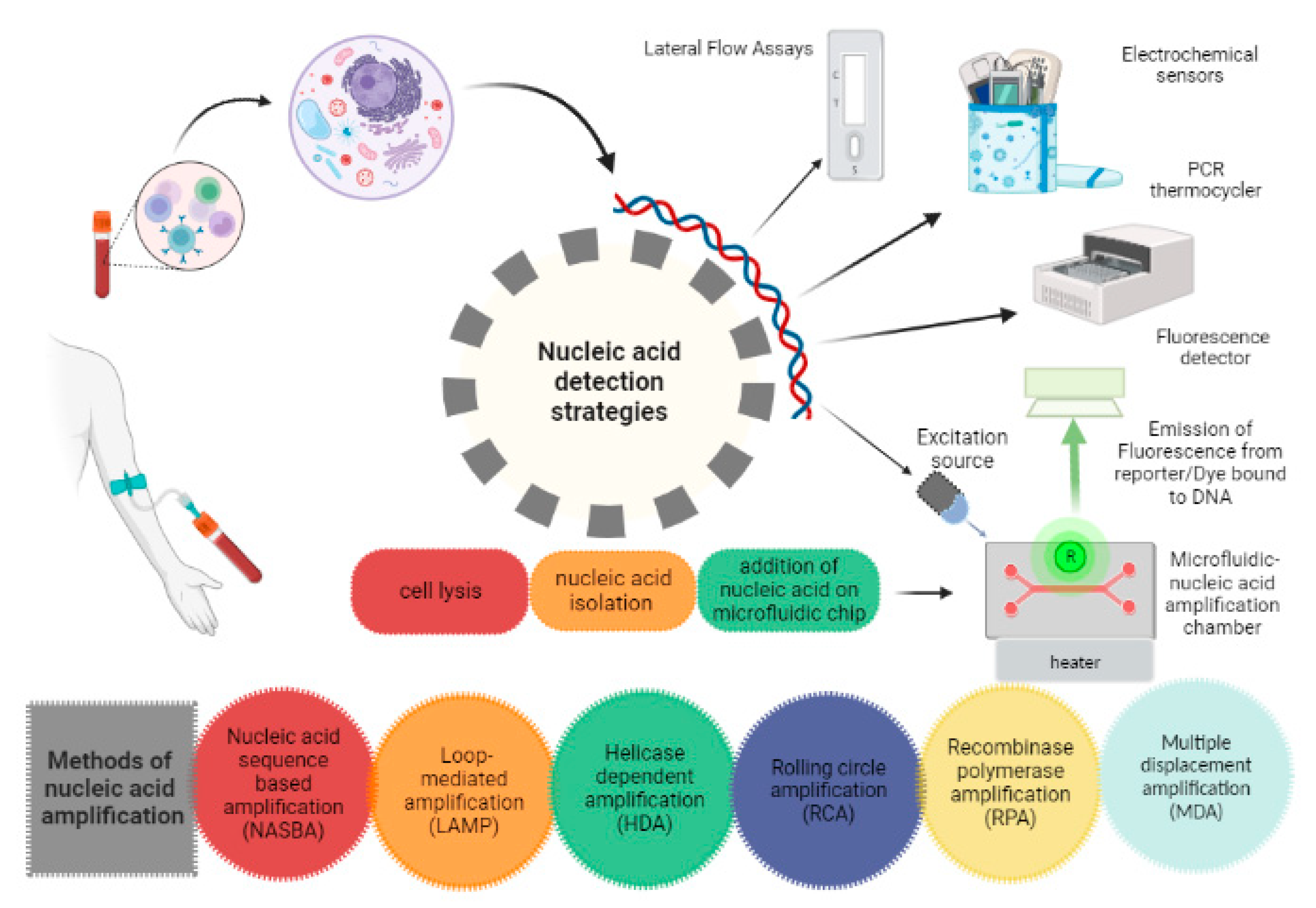 Preprints 68678 g002