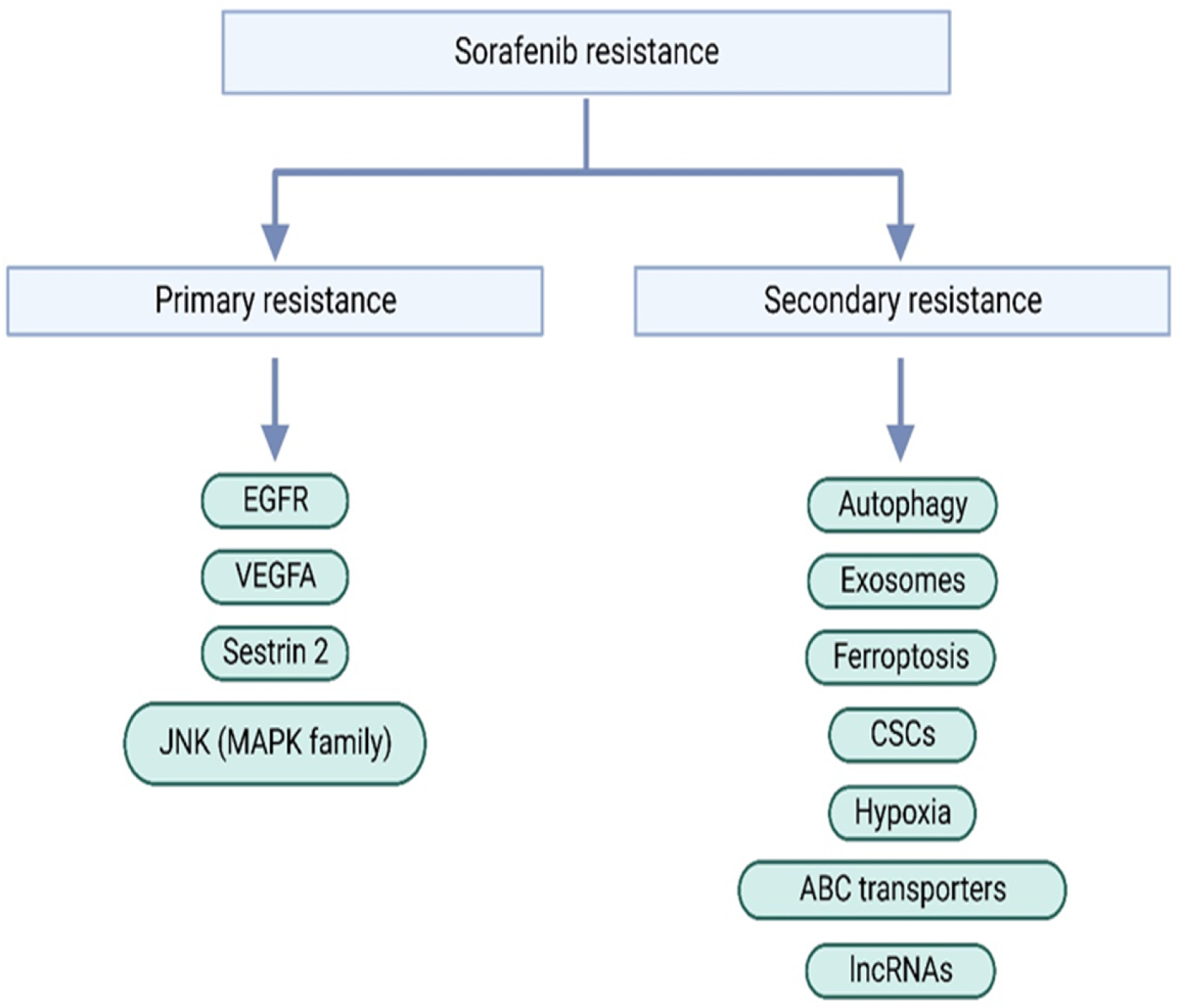 Preprints 117968 g001