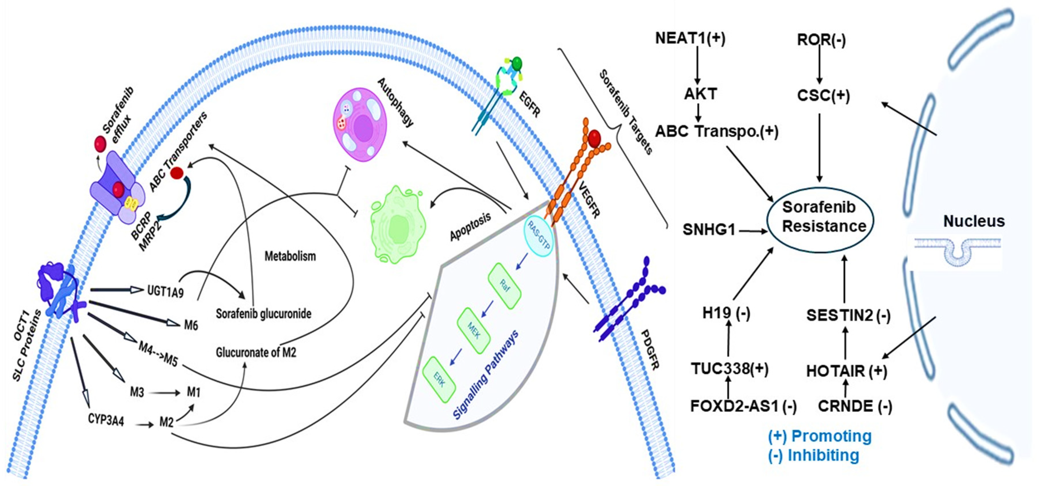 Preprints 117968 g002