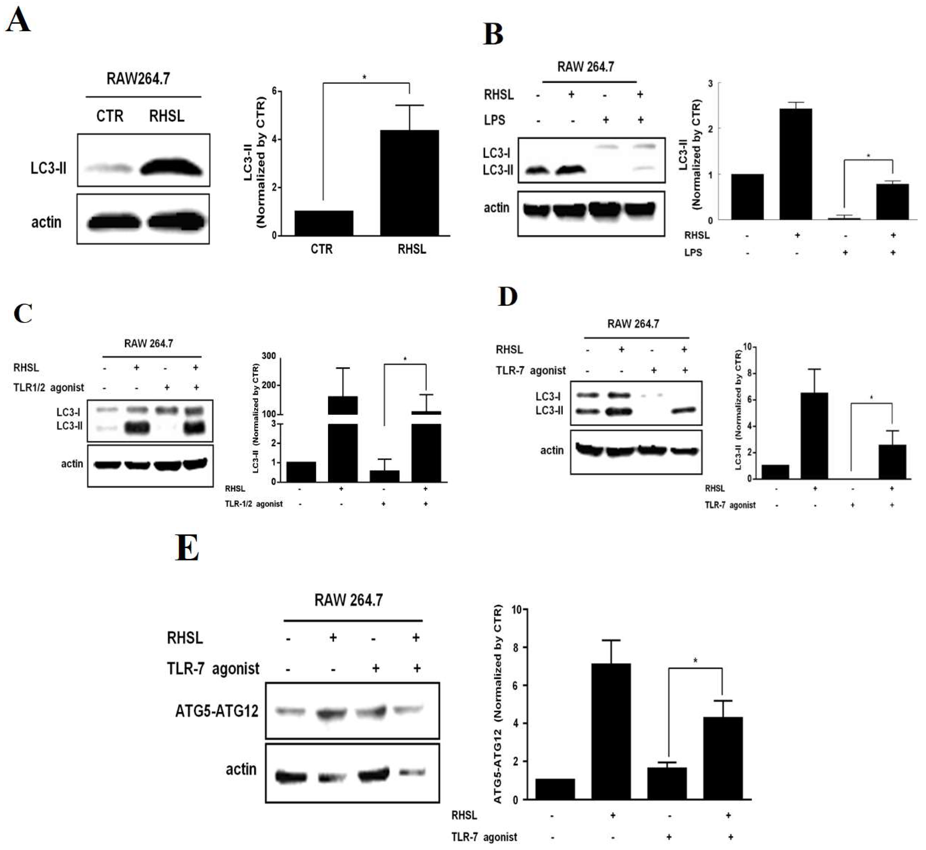 Preprints 116313 g003