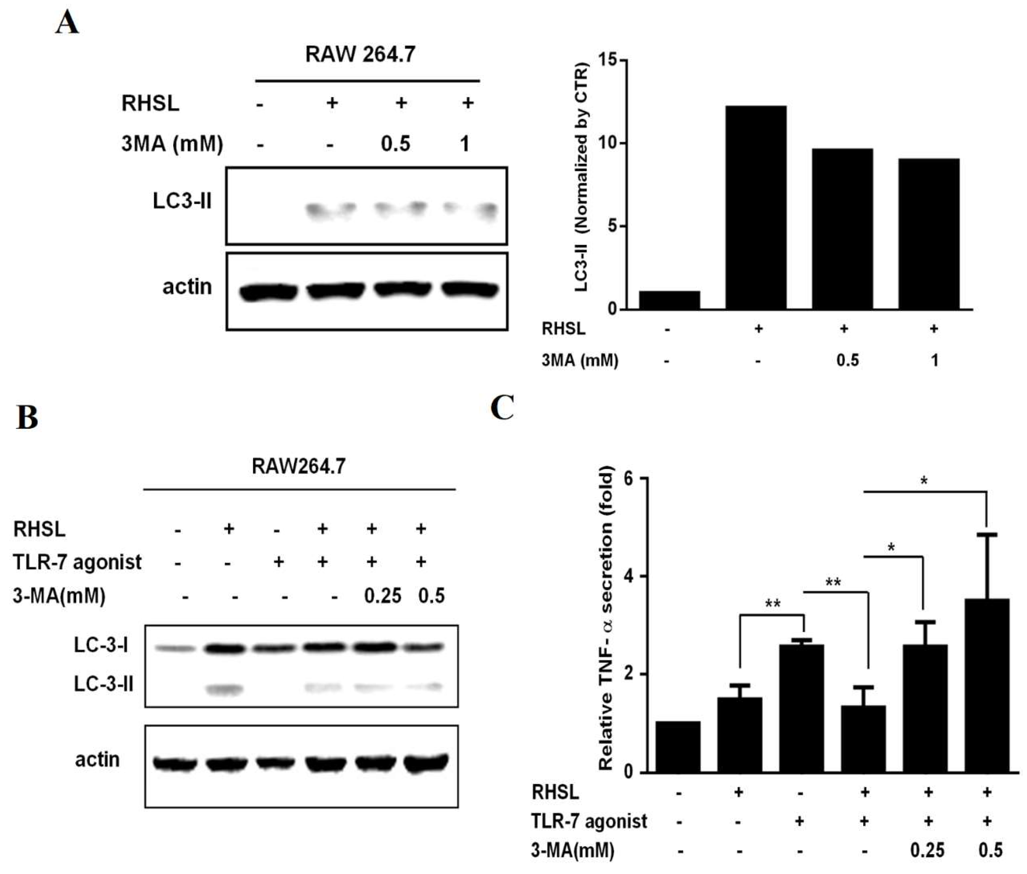 Preprints 116313 g004