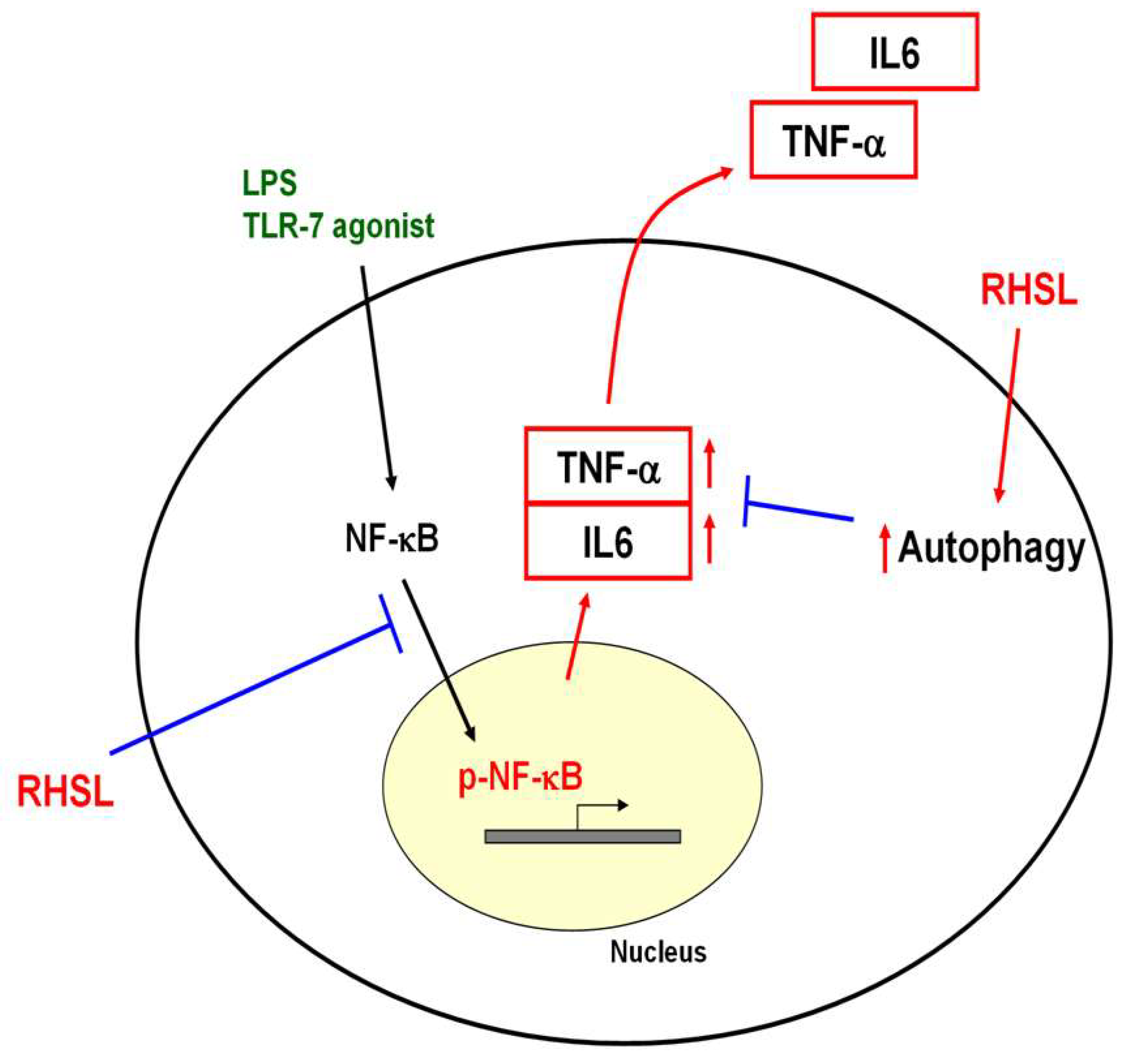 Preprints 116313 g007