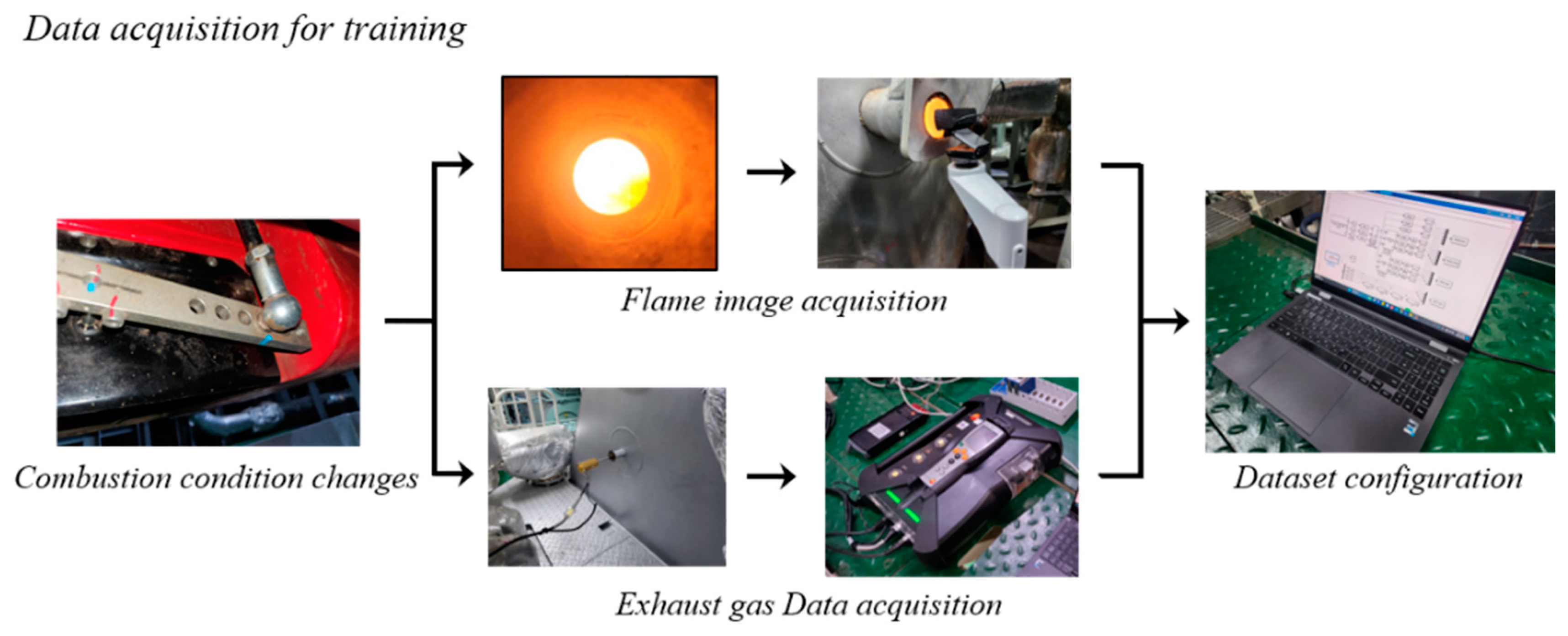 Preprints 113344 g003