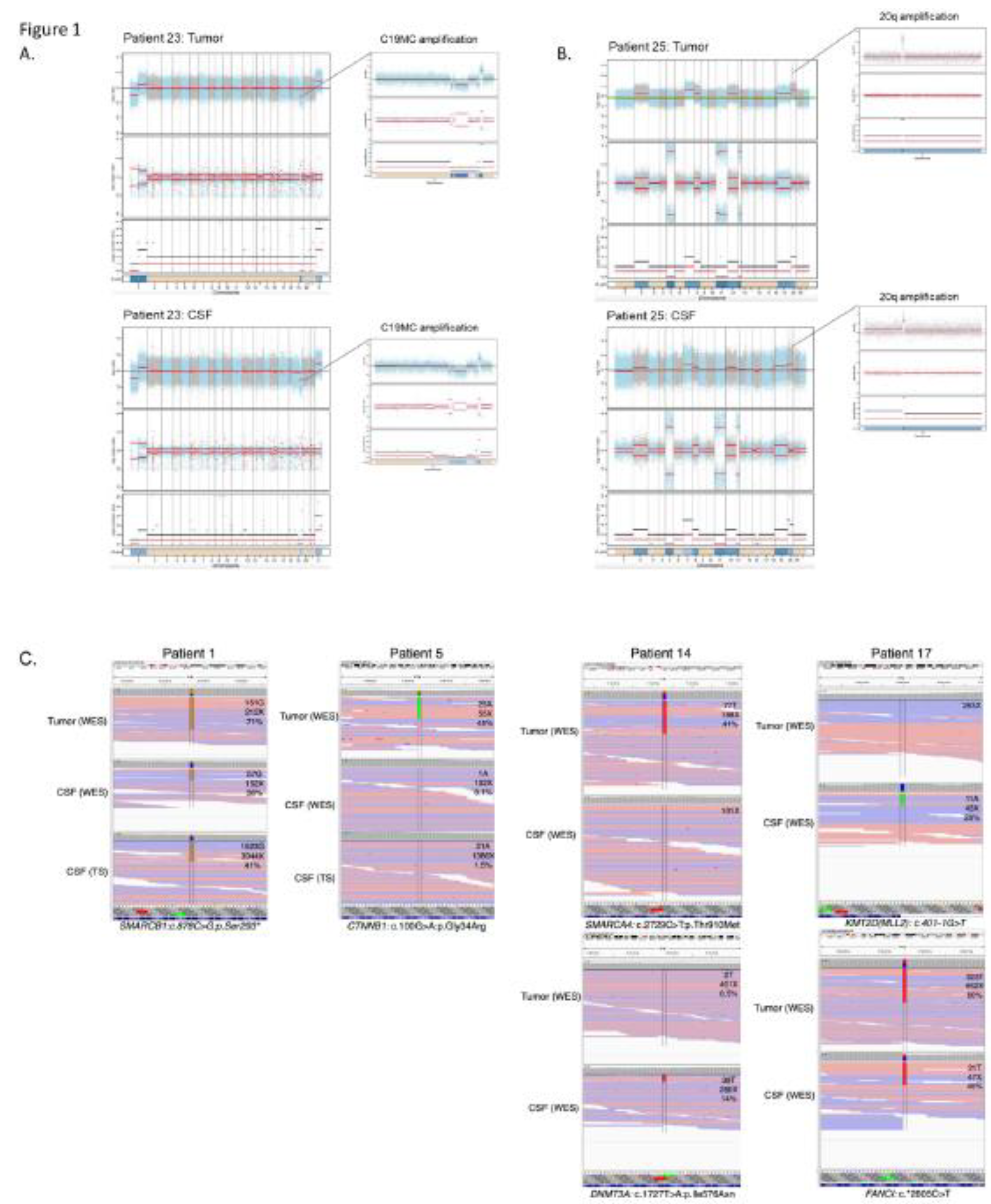 Preprints 75815 g001