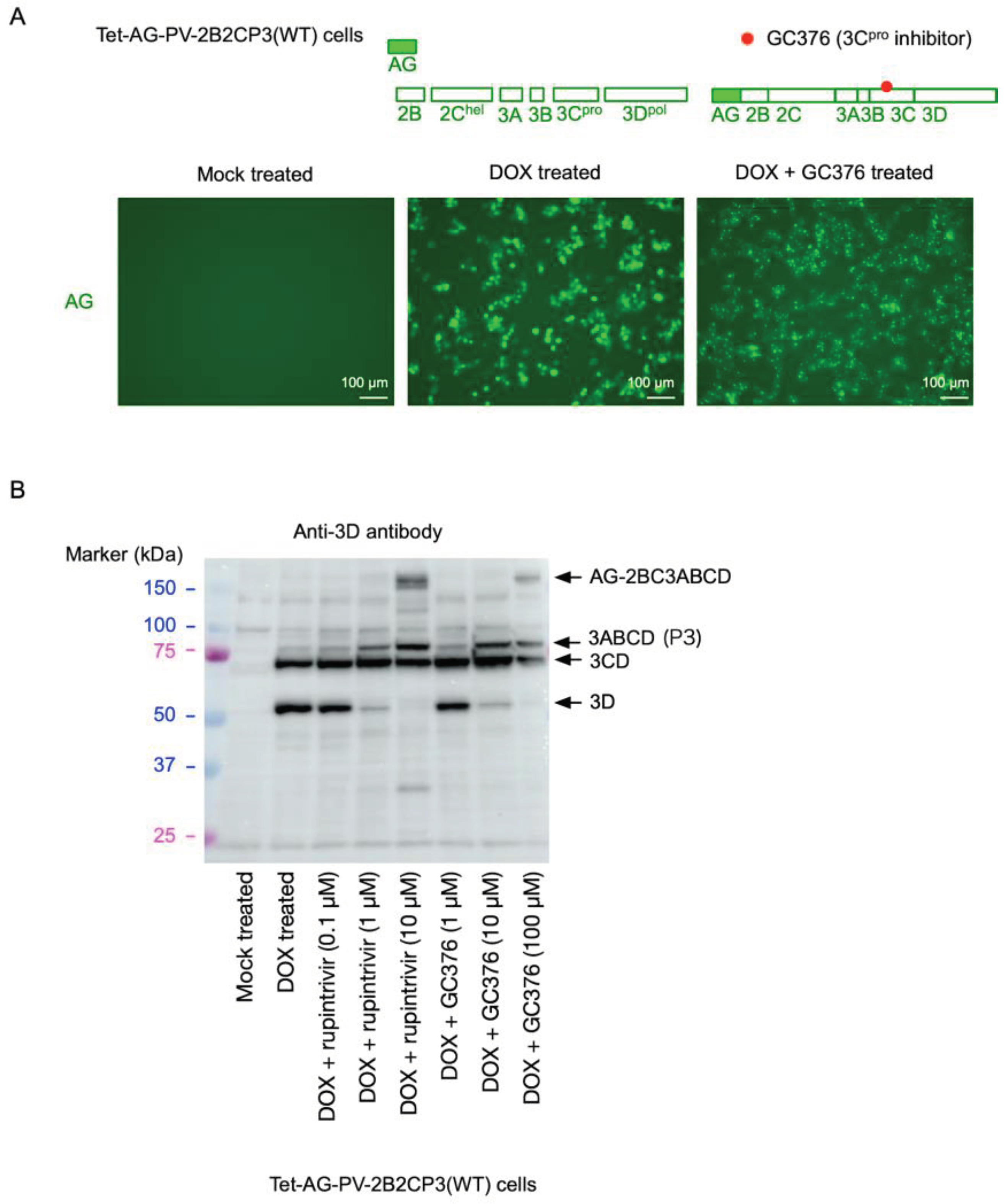 Preprints 101247 g001