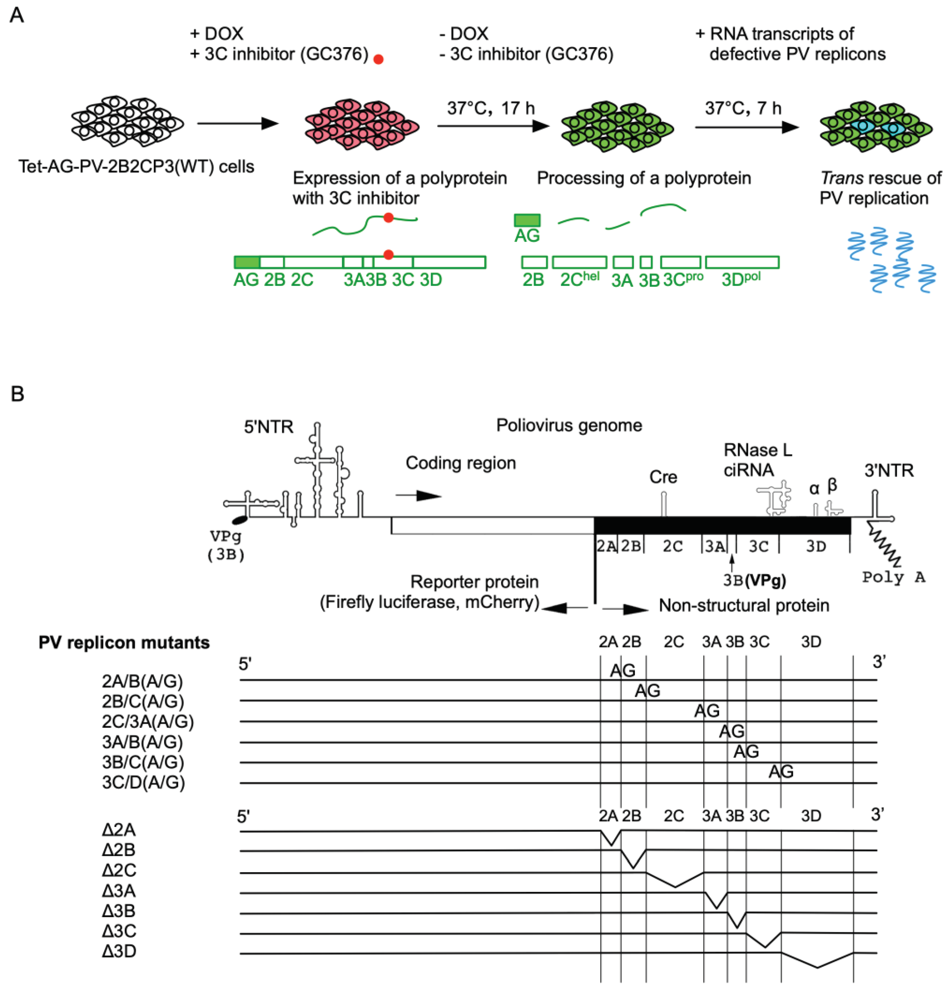 Preprints 101247 g002