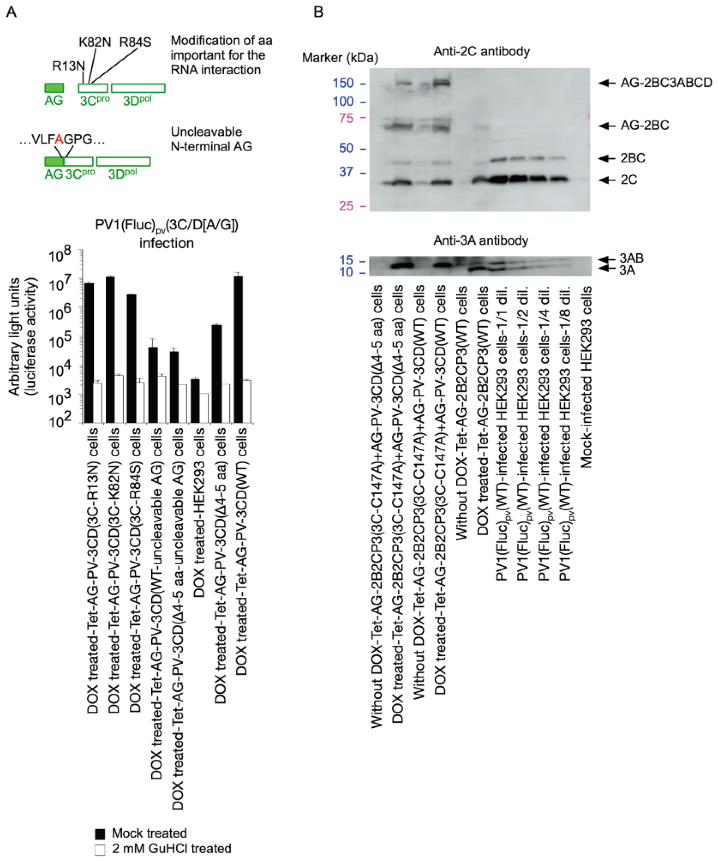 Preprints 101247 g006