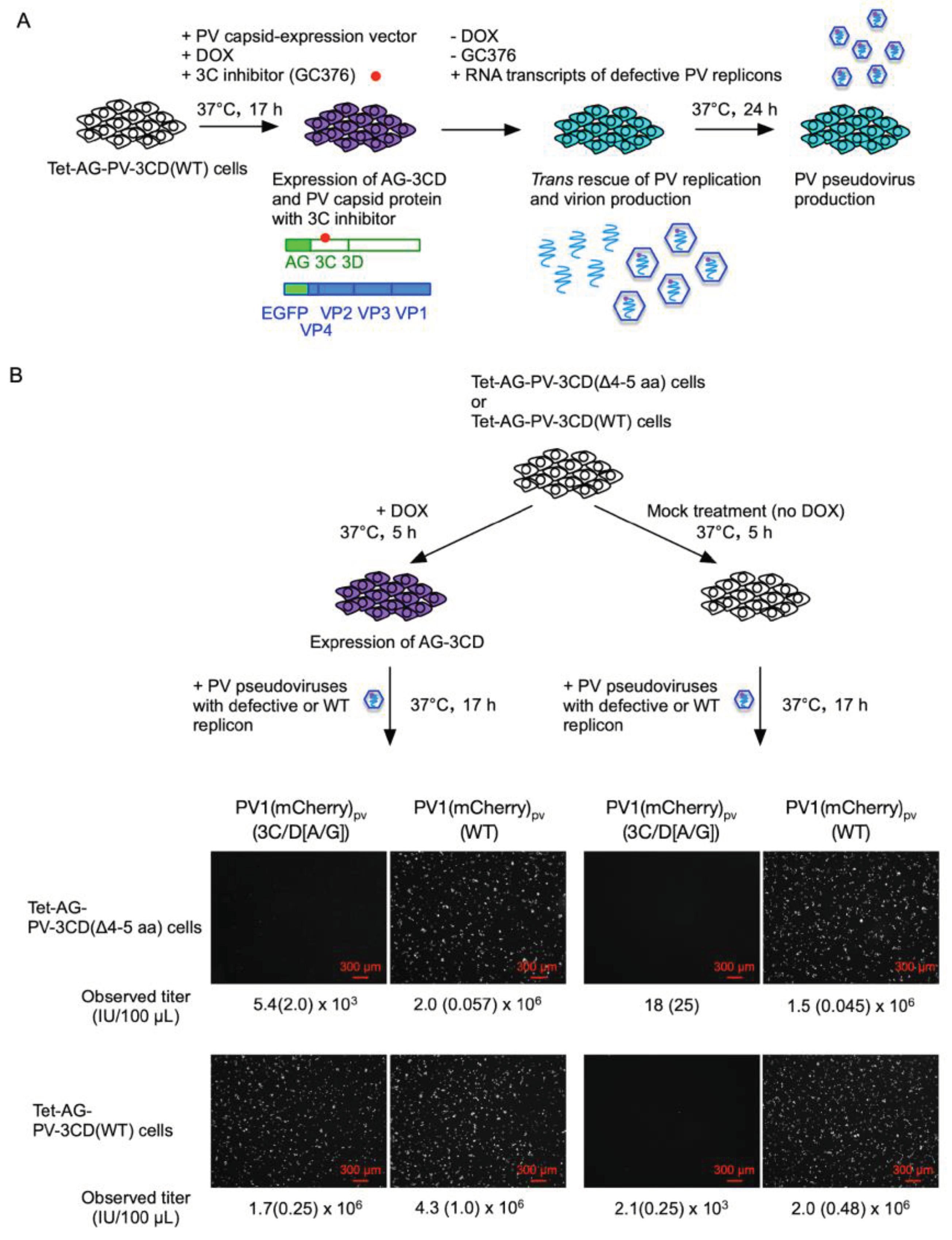 Preprints 101247 g007