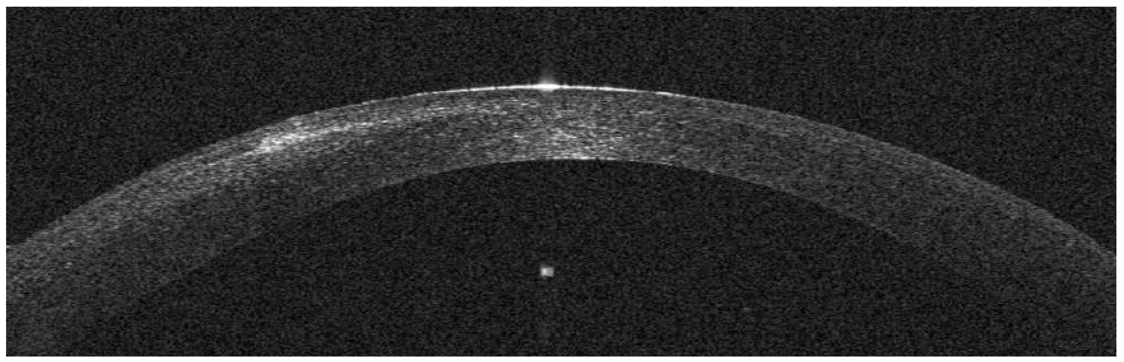 Preprints 109136 g013