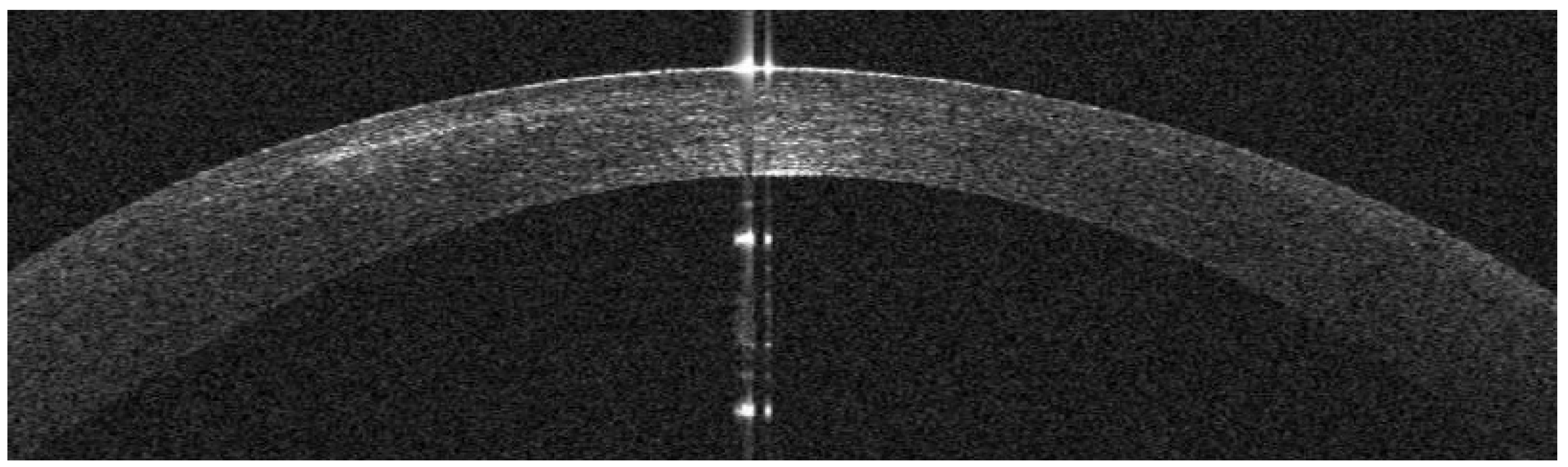 Preprints 109136 g014