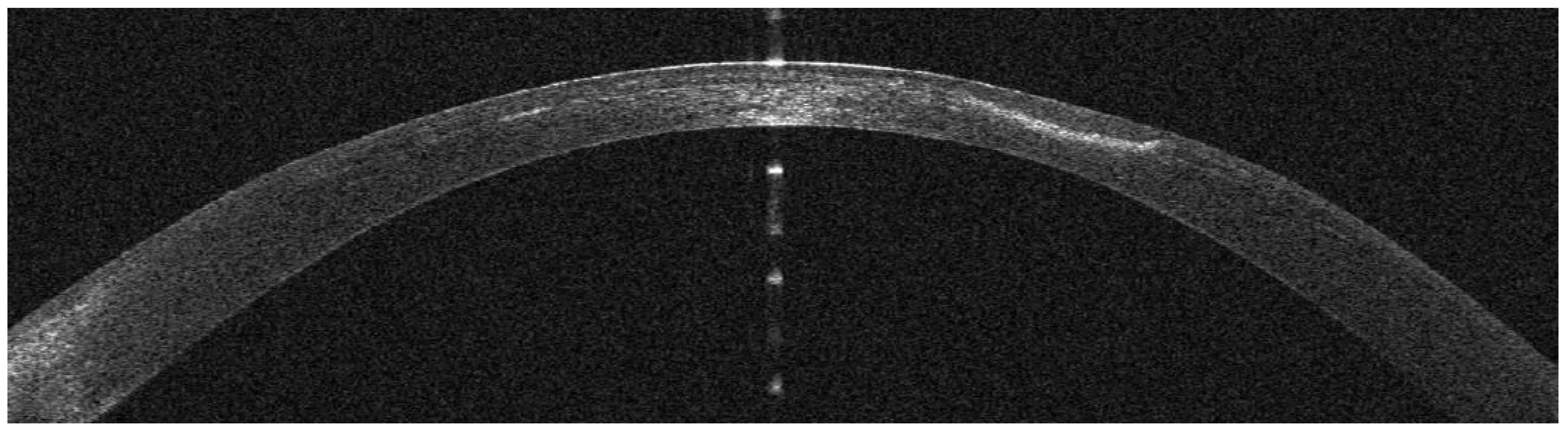 Preprints 109136 g020