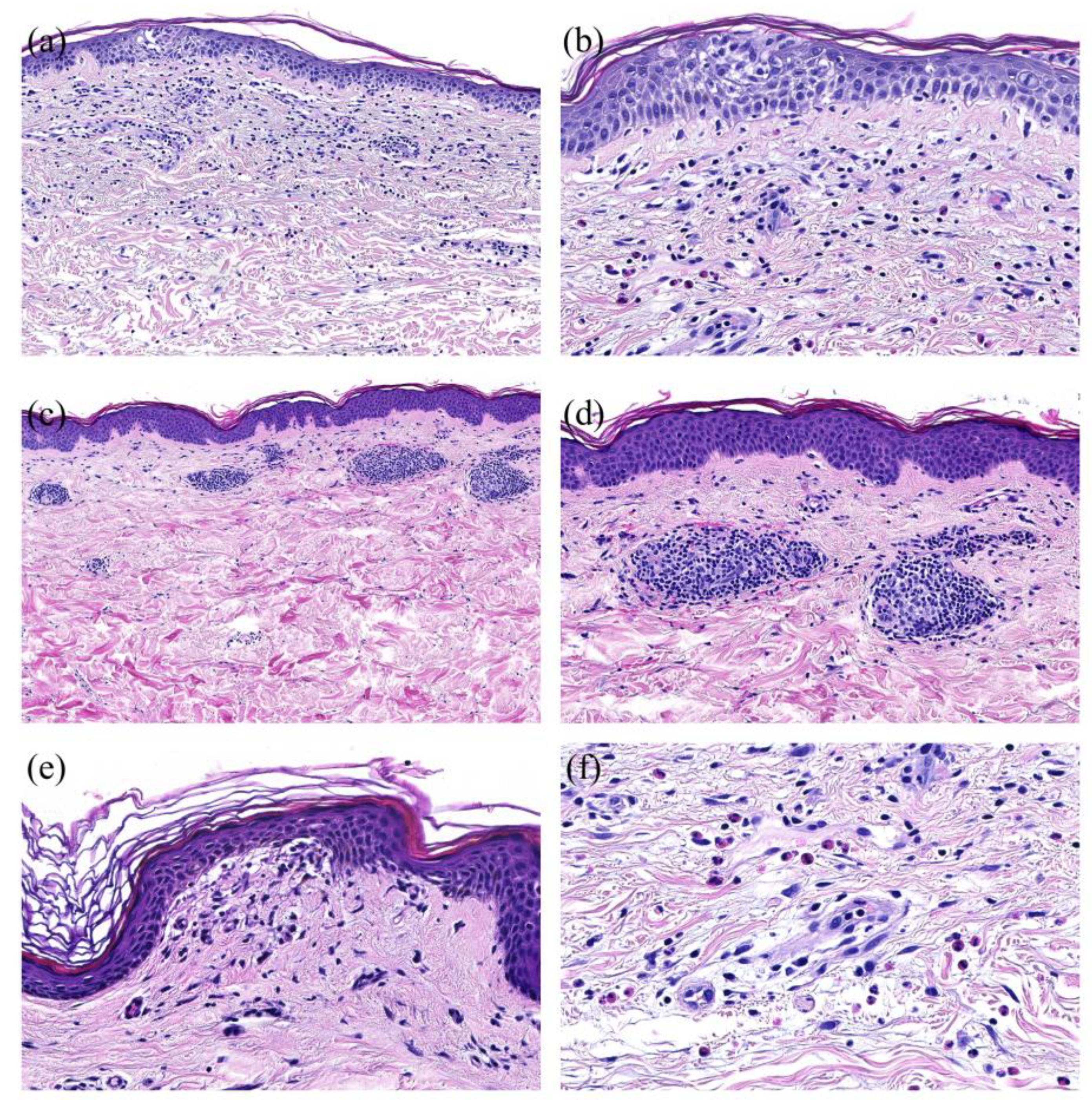 Preprints 95030 g004