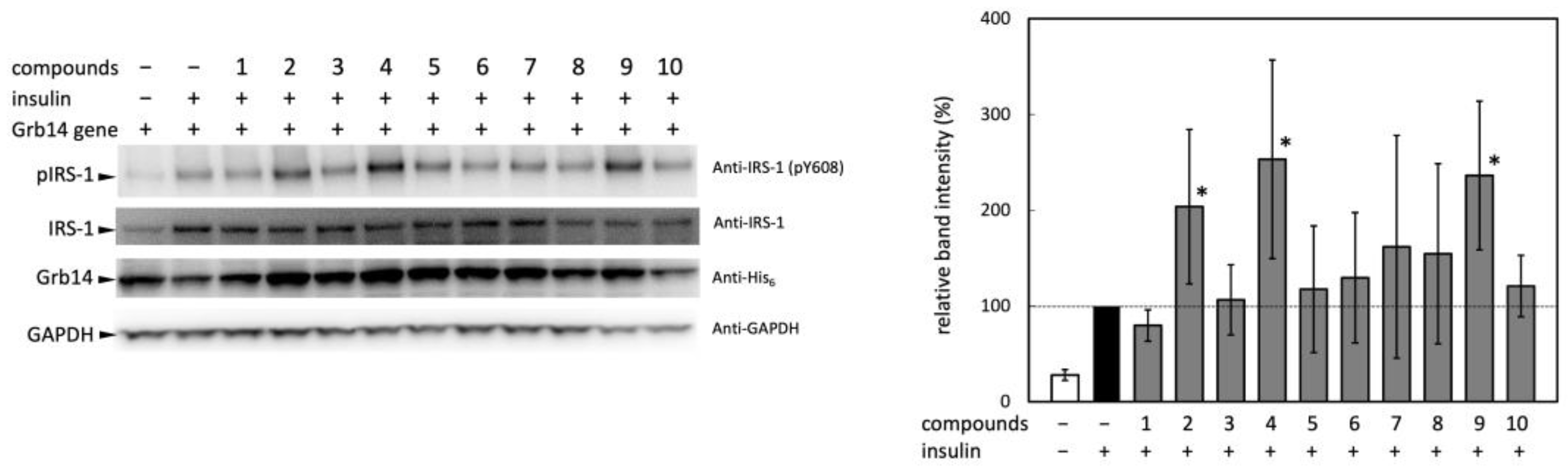 Preprints 92701 g002