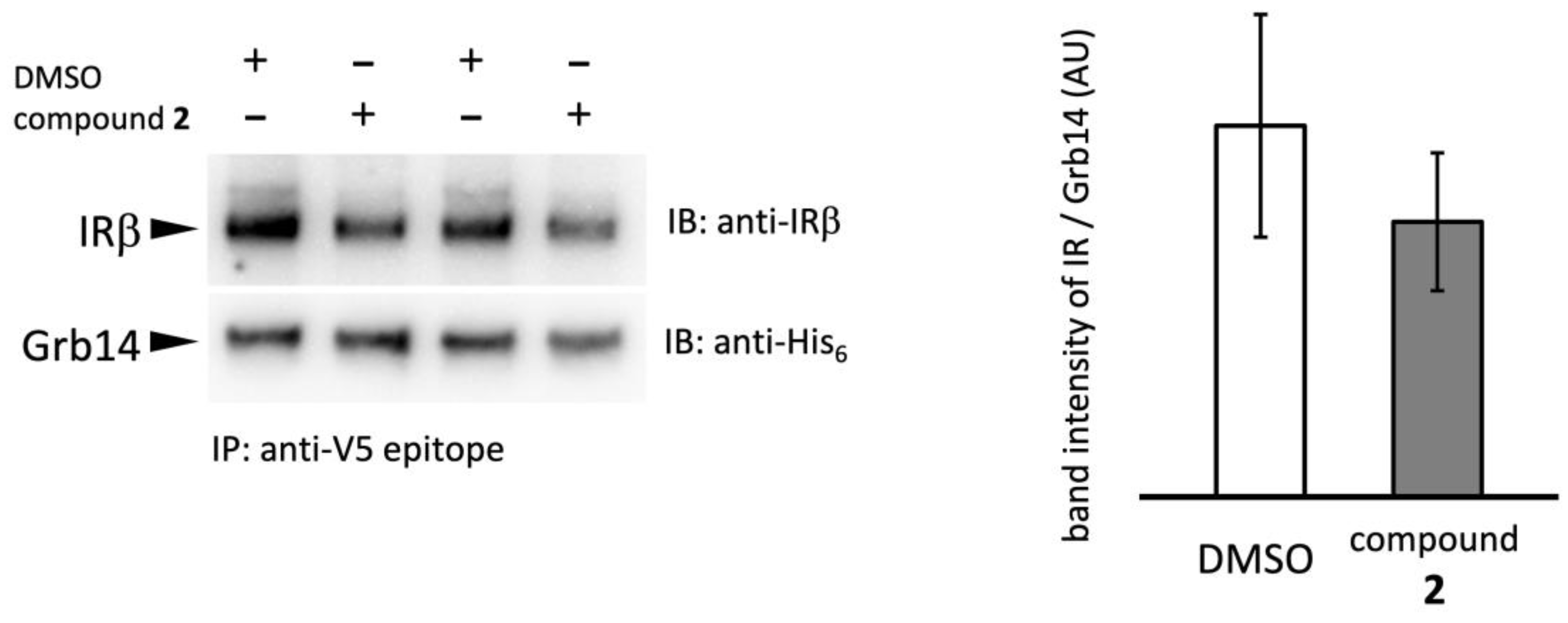 Preprints 92701 g004