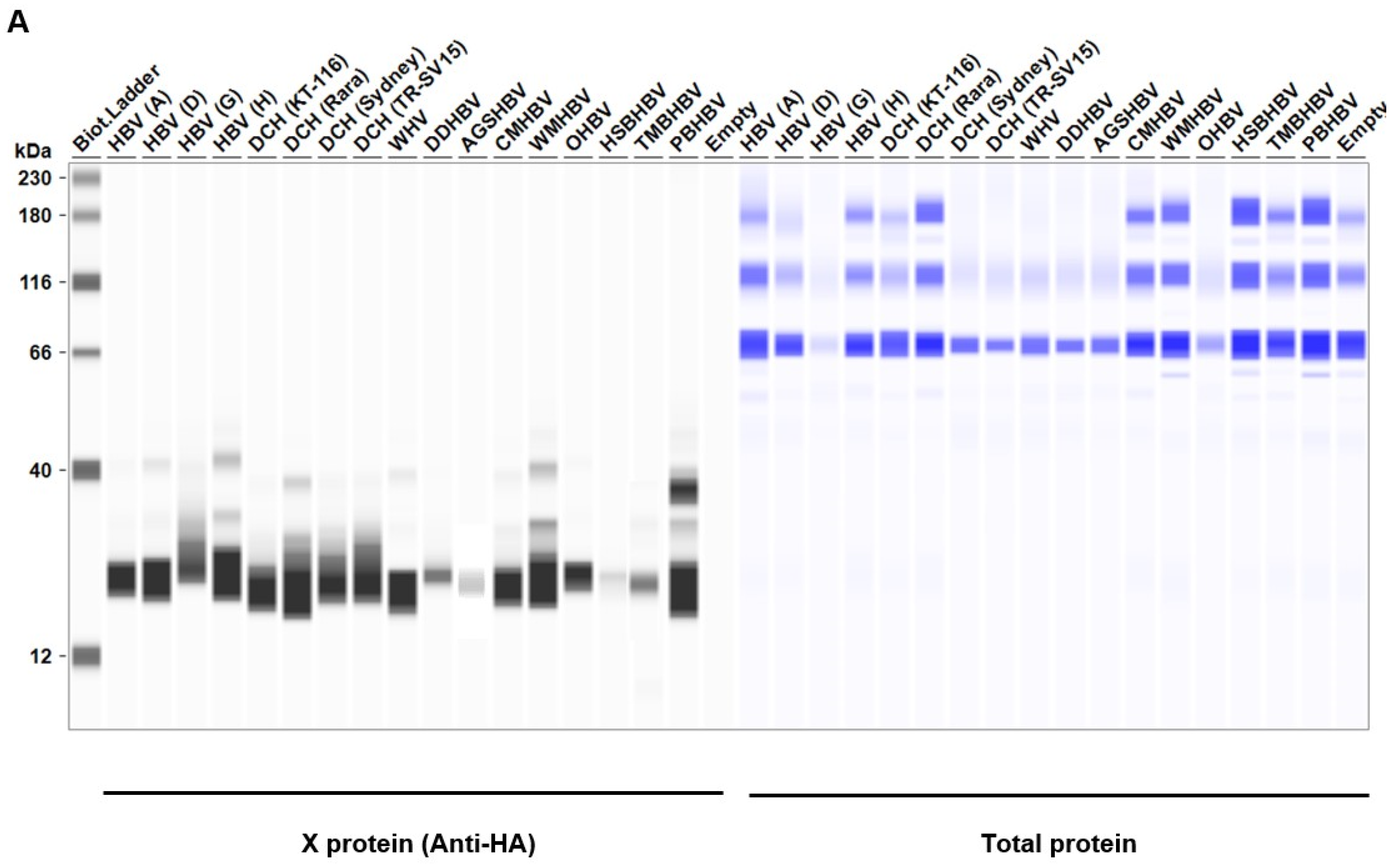 Preprints 99593 g002