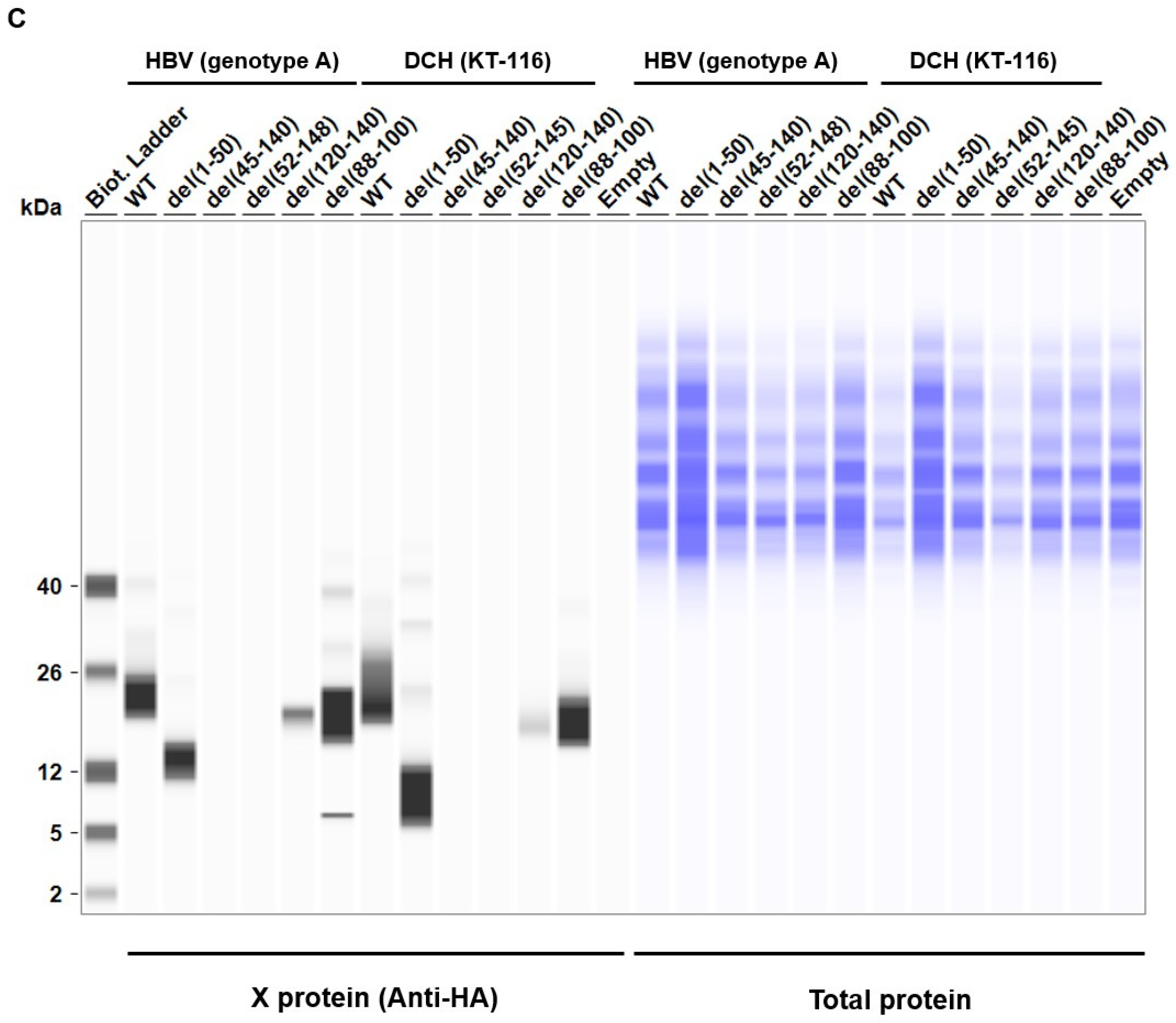 Preprints 99593 g005b