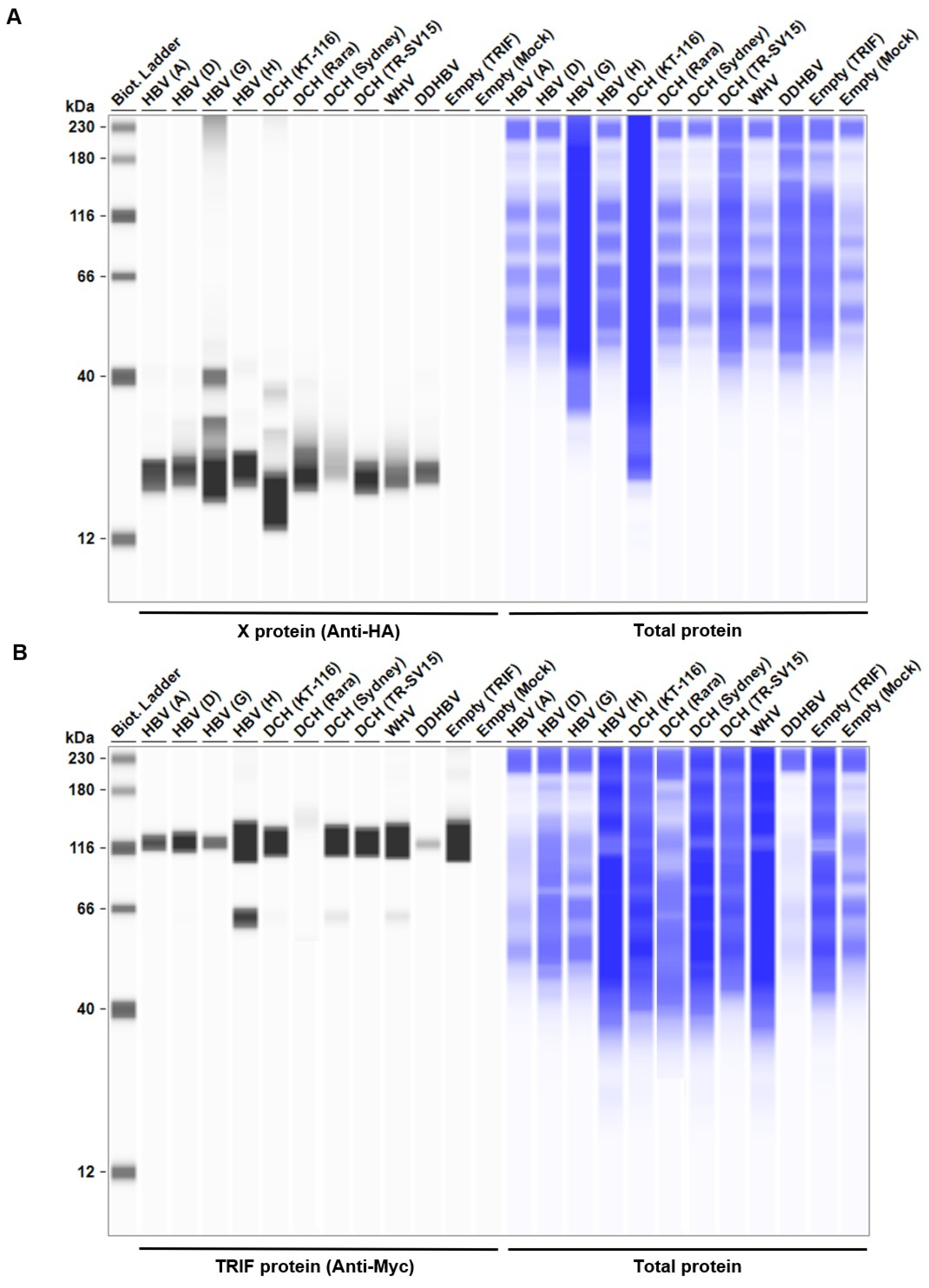 Preprints 99593 g006a