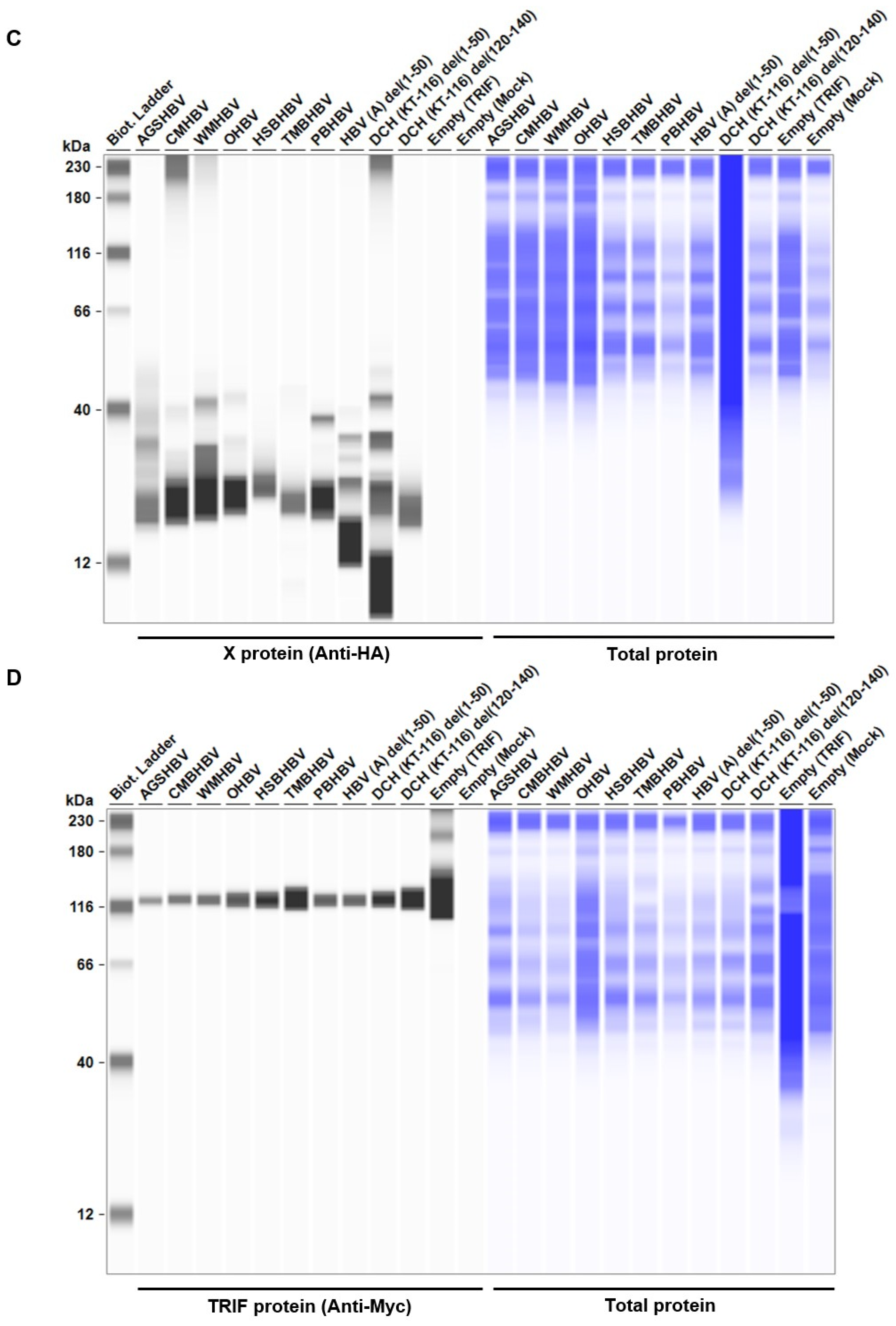 Preprints 99593 g006b