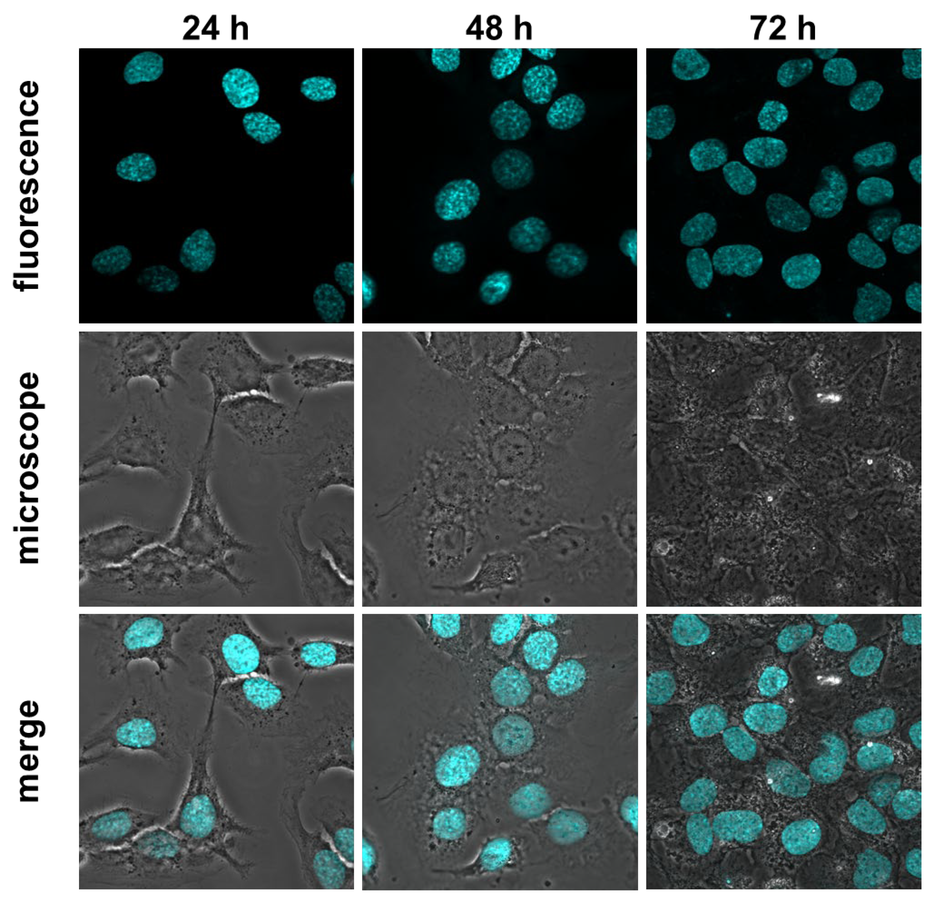 Preprints 75821 g004