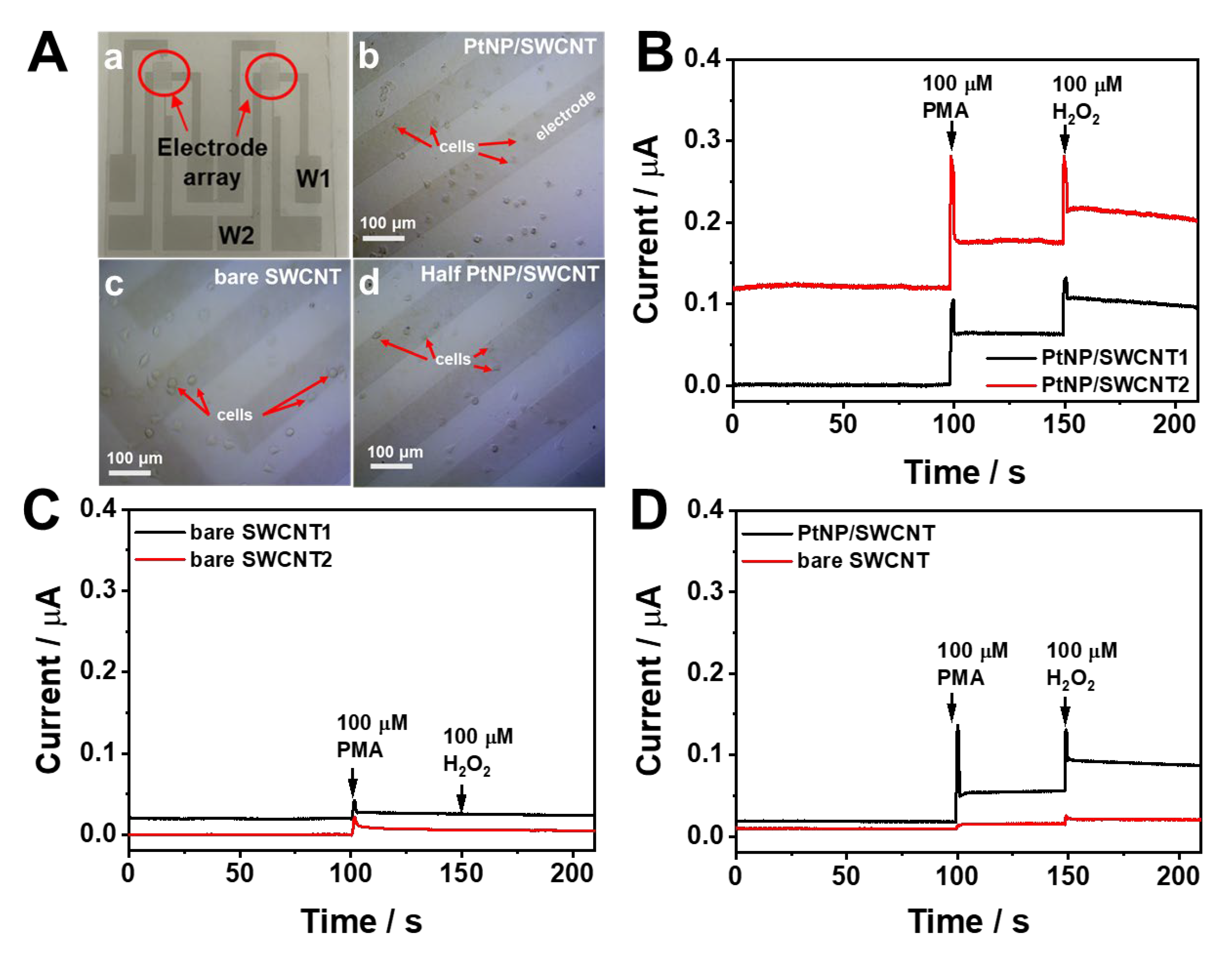 Preprints 75821 g005