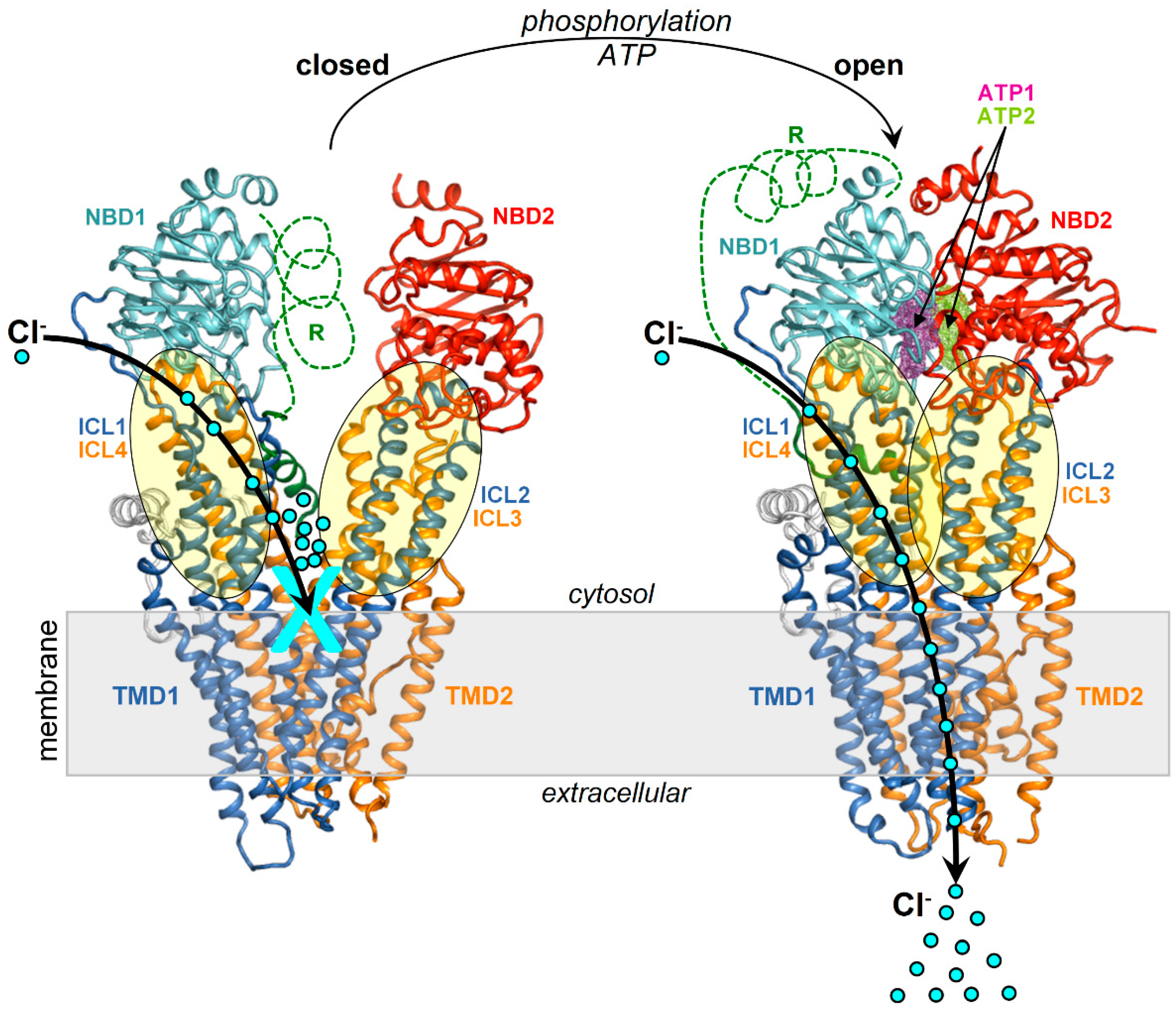 Preprints 89930 g001