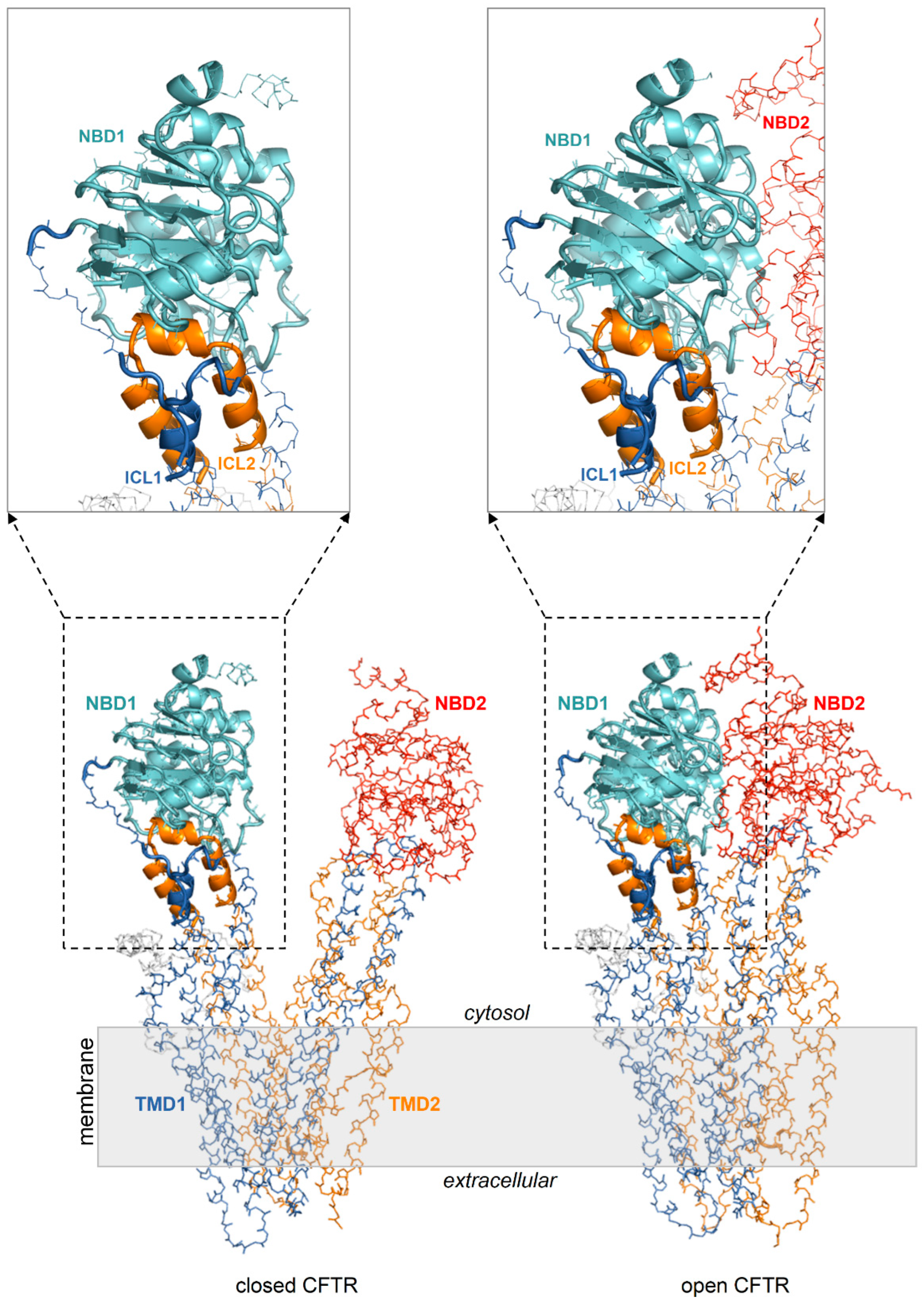 Preprints 89930 g002