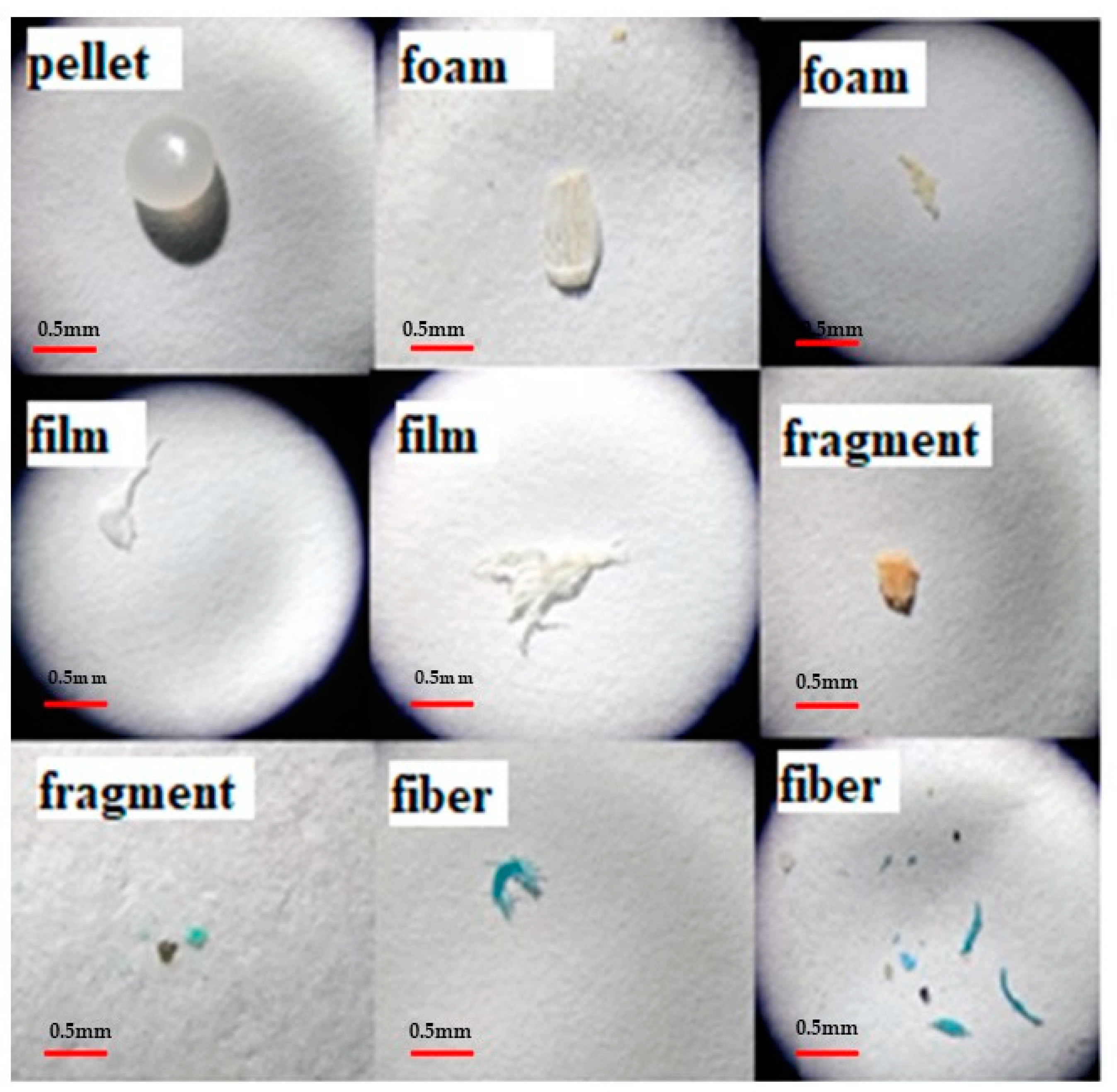 Preprints 107110 g004