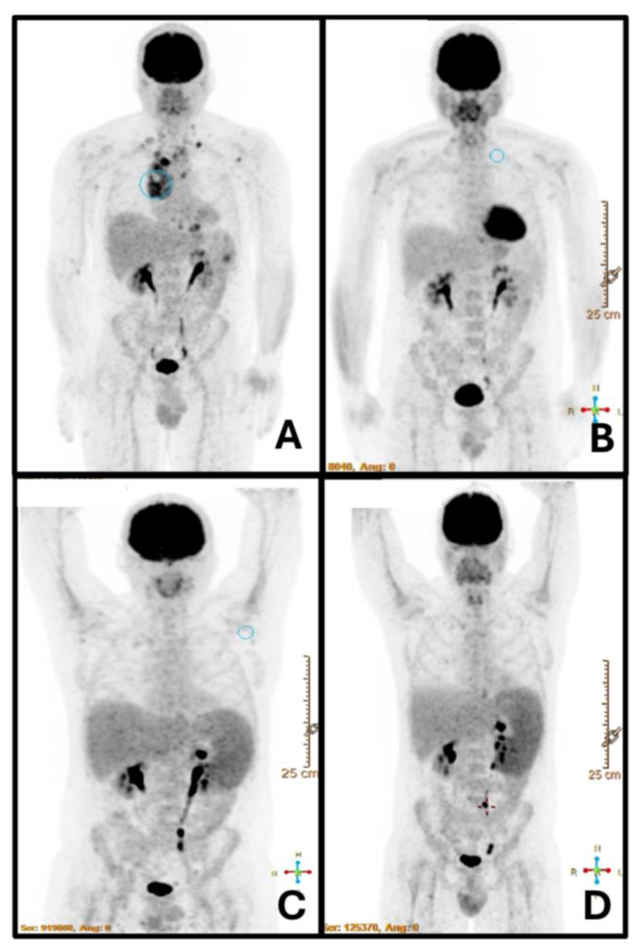 Preprints 115214 g001