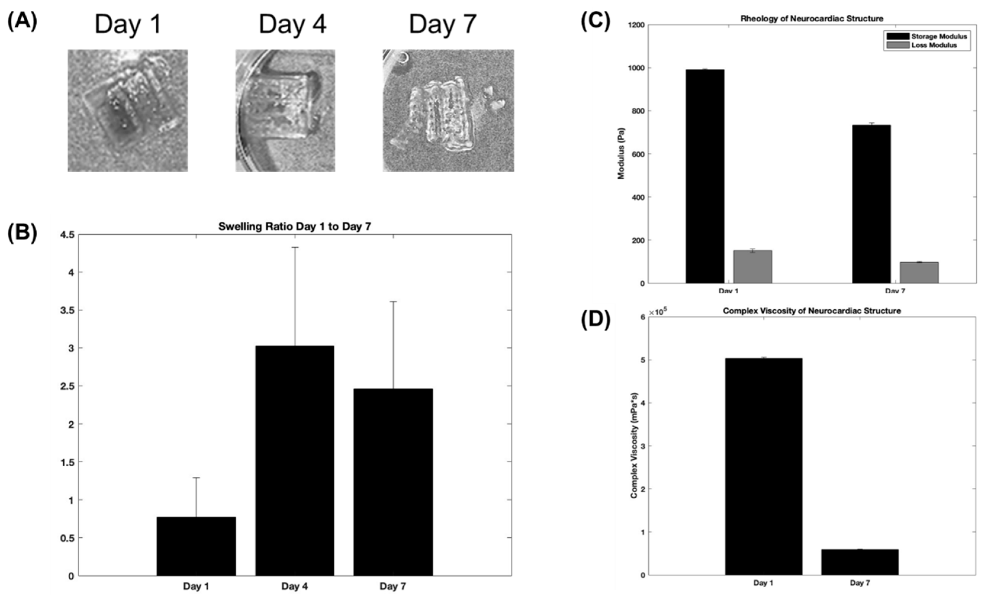 Preprints 76456 g003