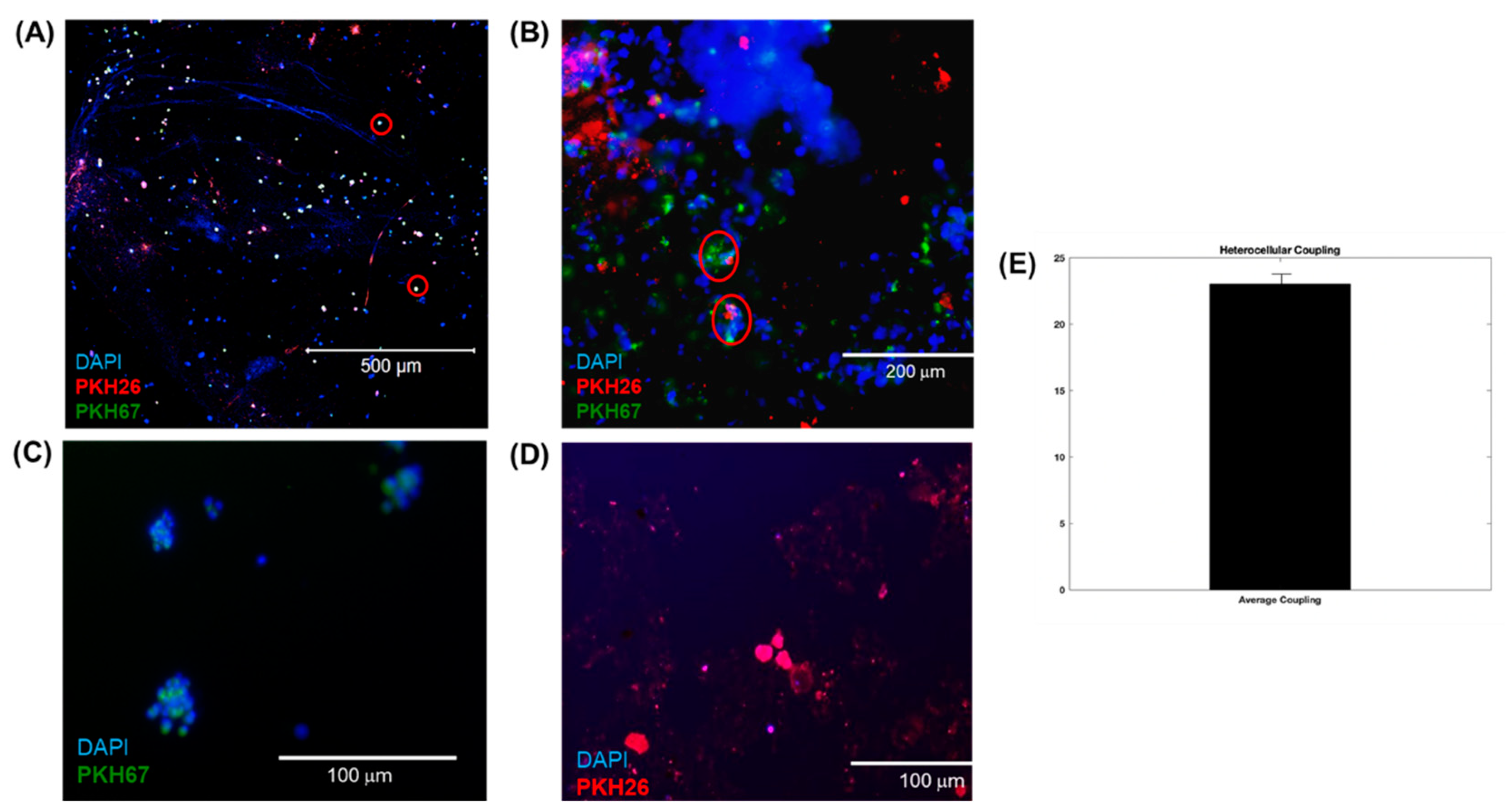 Preprints 76456 g004