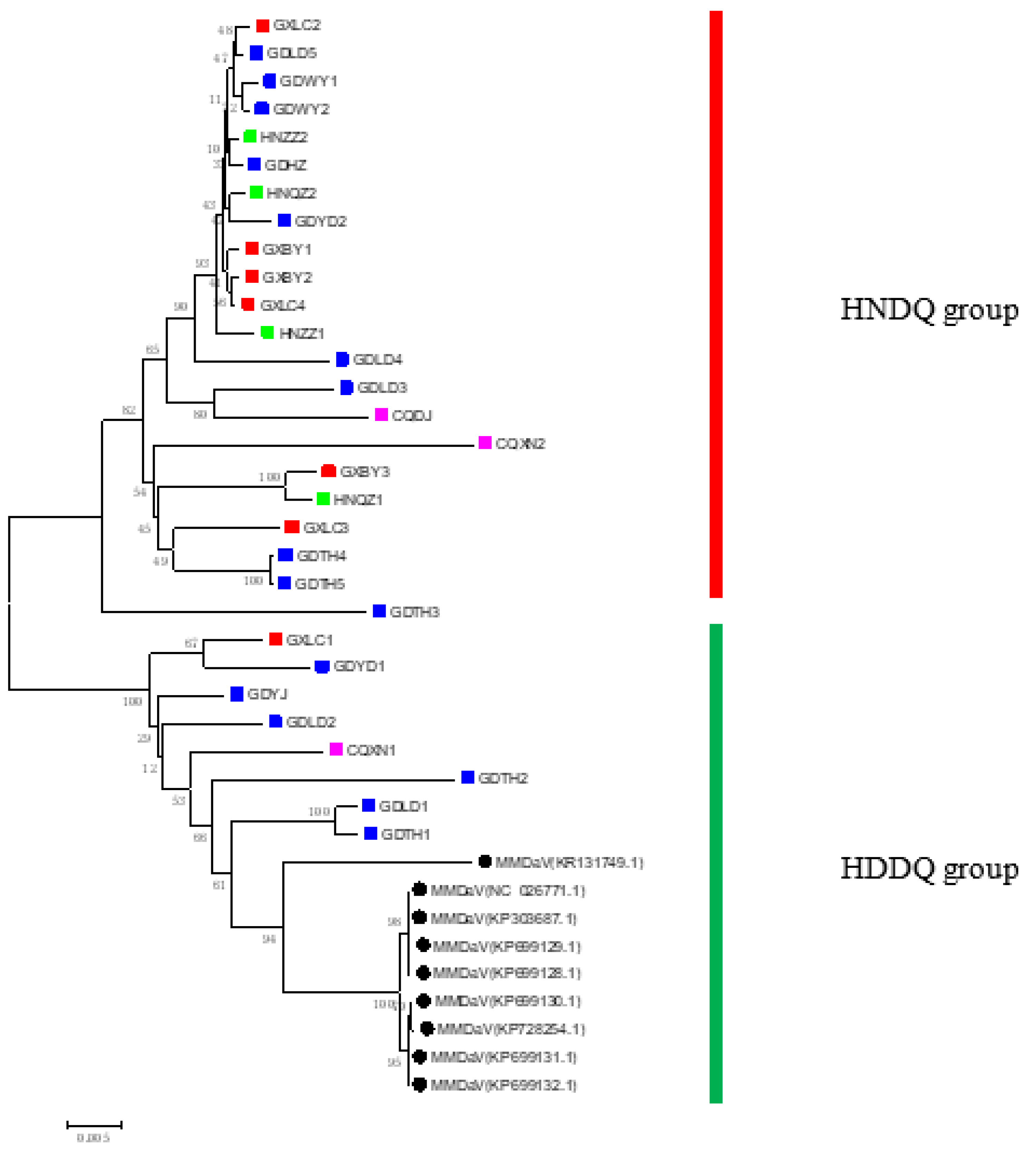 Preprints 86000 g003